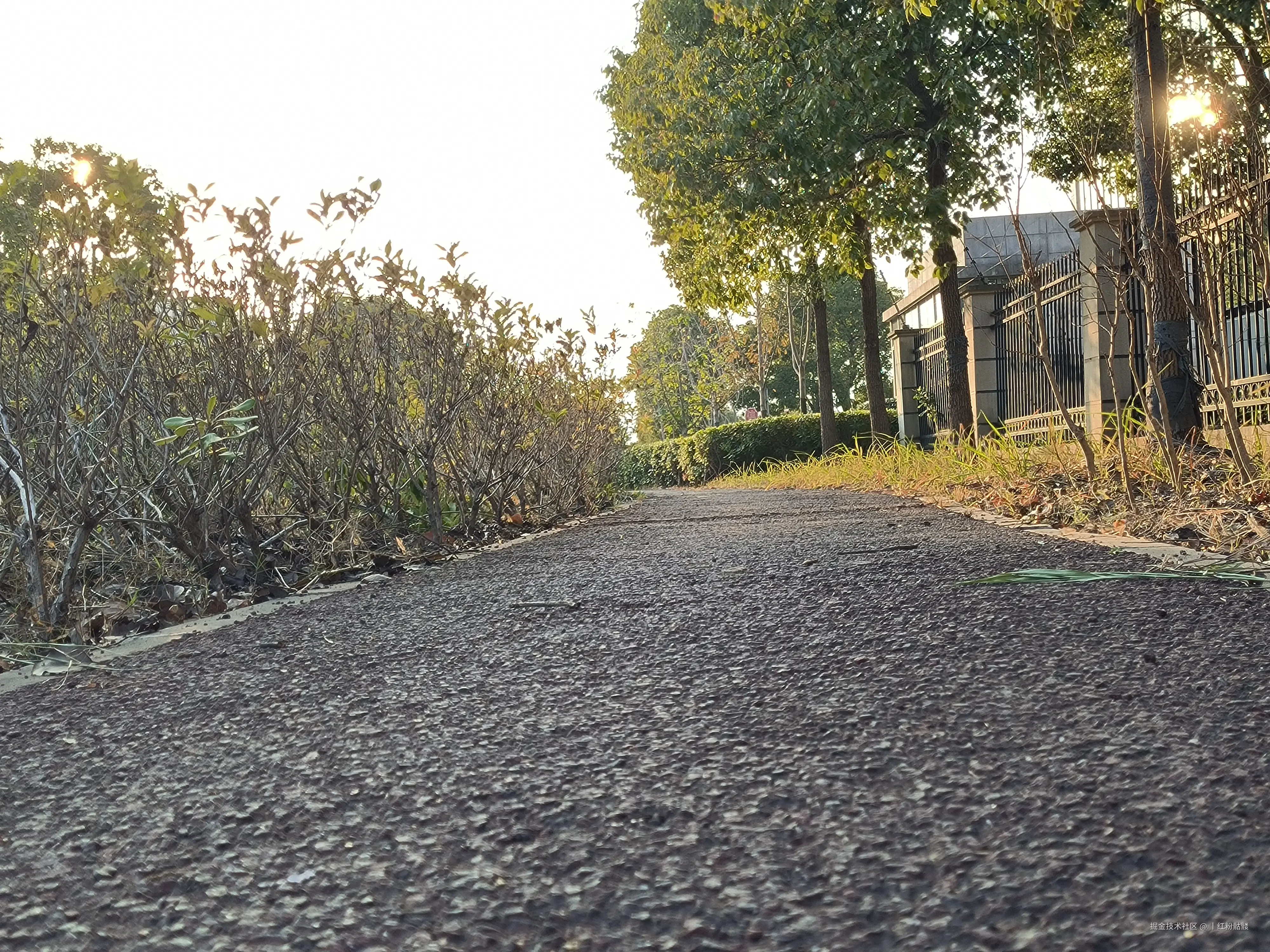 丨红粉骷髅于2025-01-14 14:00发布的图片