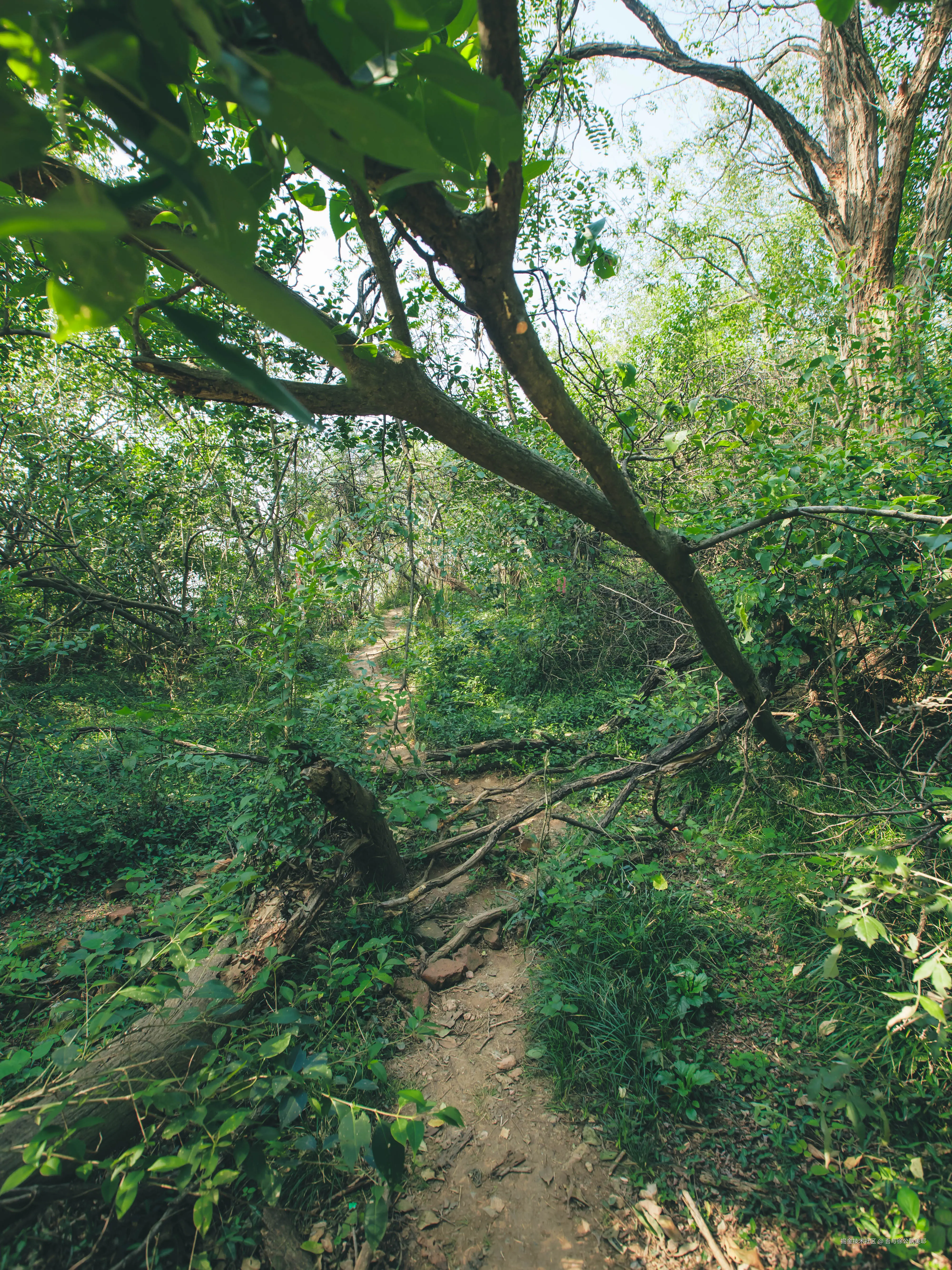 吾与徐公孰美耶于2025-11-13 09:37发布的图片