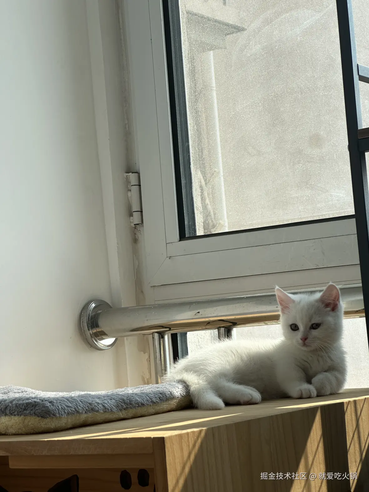 就爱吃火锅于2025-03-10 09:39发布的图片