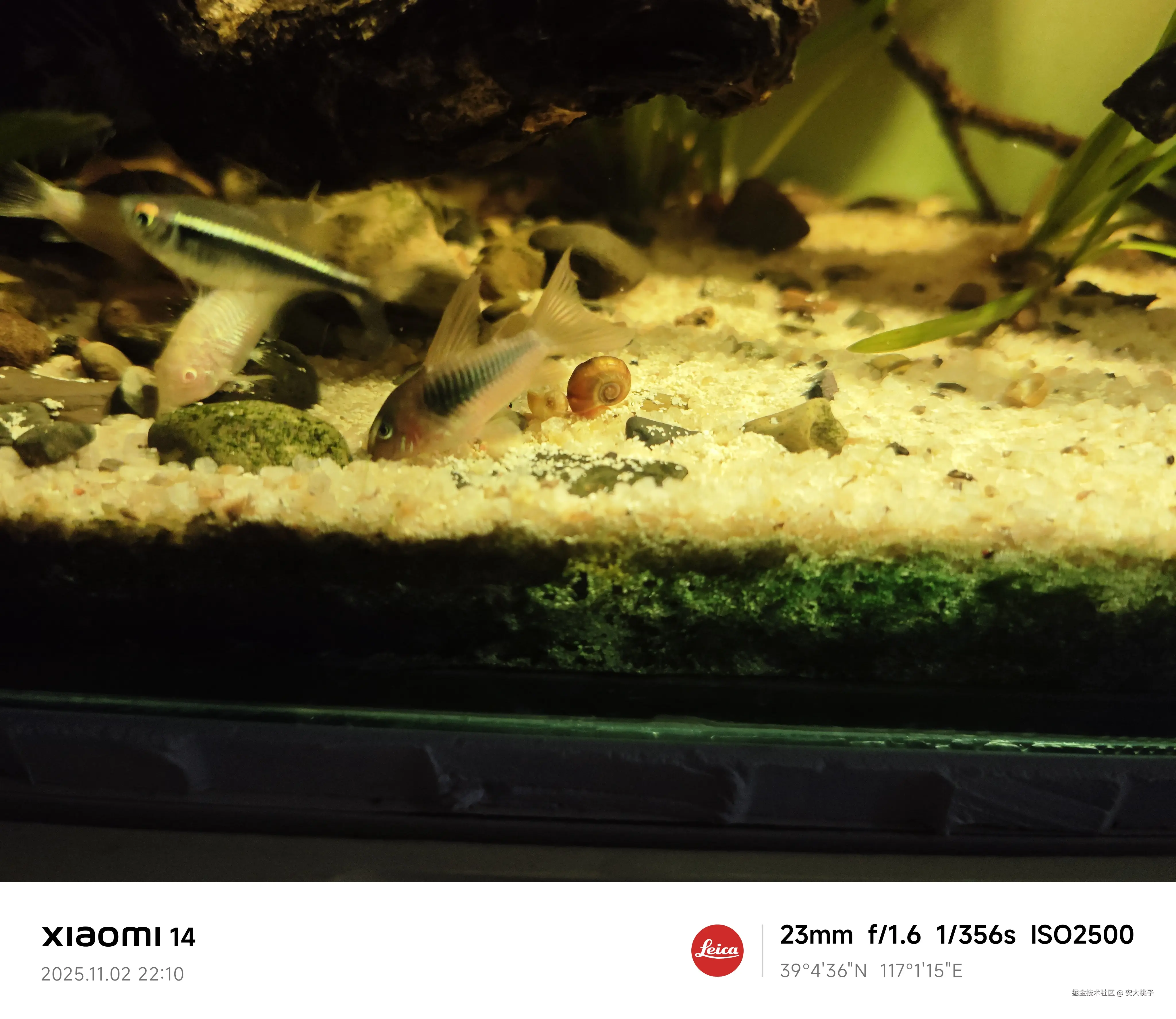 安大桃子于2025-11-03 16:41发布的图片