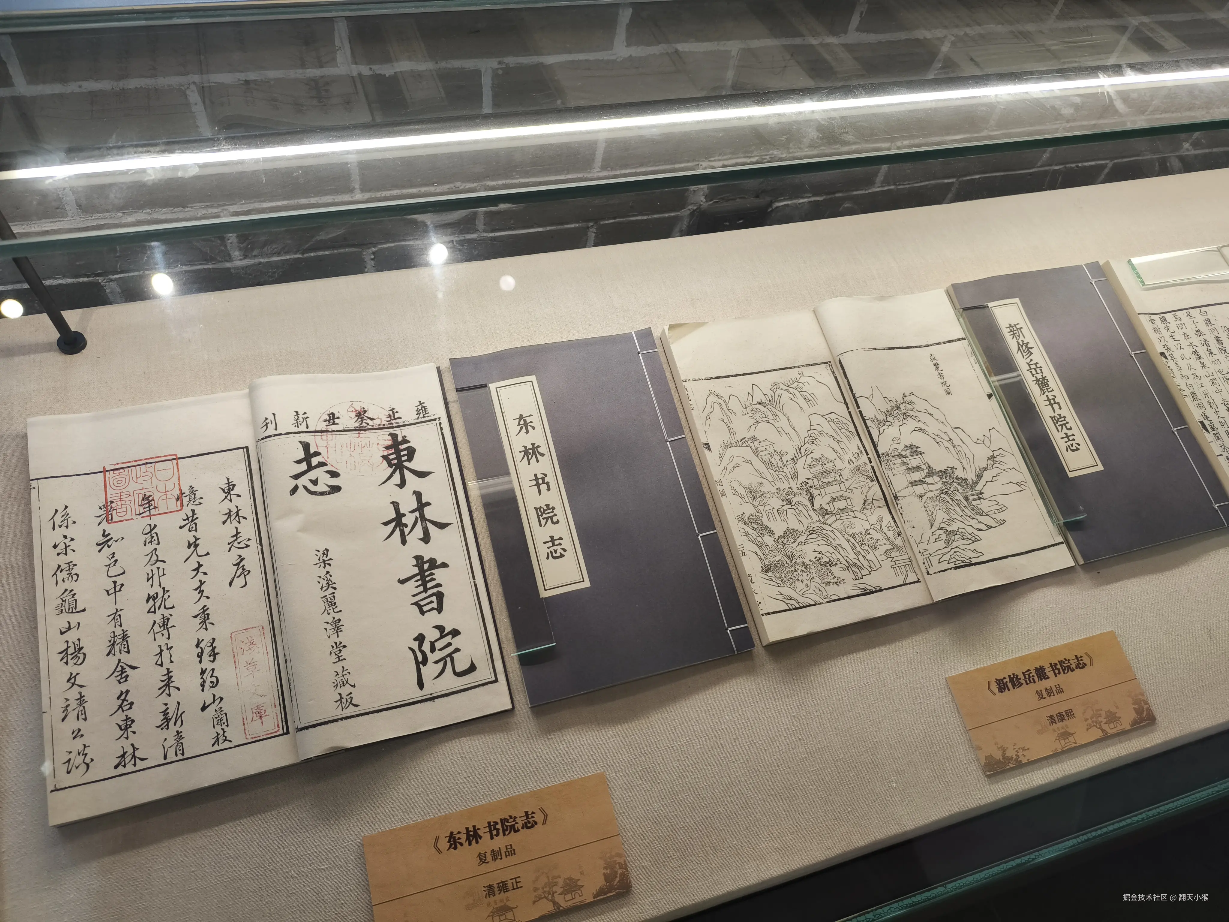 翻天小猴于2025-09-04 18:44发布的图片