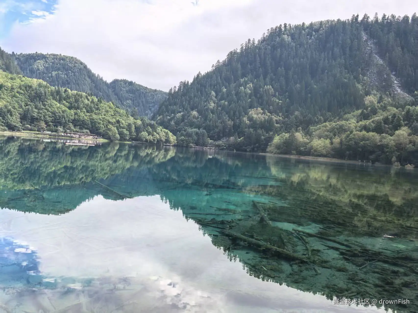 drownFish于2025-10-09 09:42发布的图片