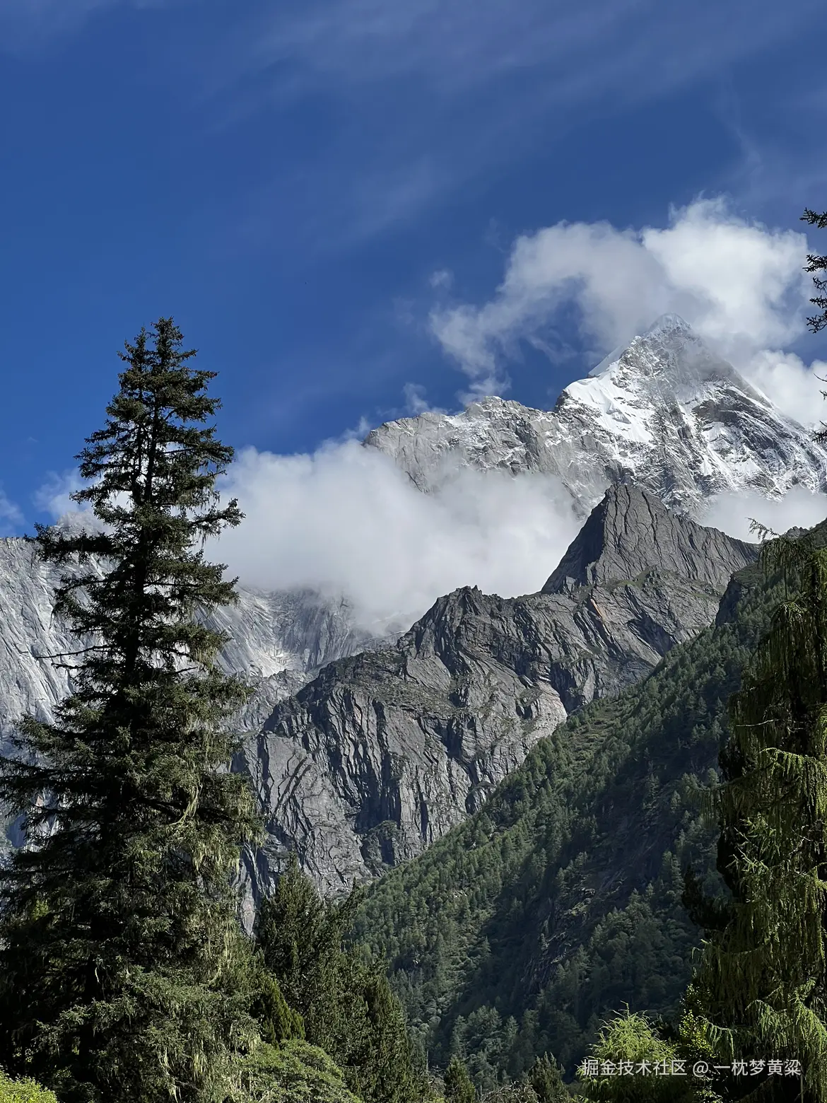 一枕梦黄粱于2024-08-19 16:44发布的图片