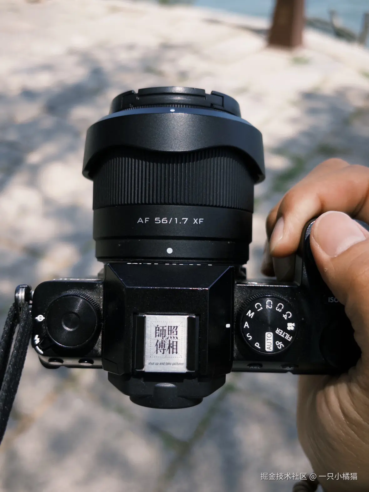 一只小橘猫于2025-06-22 13:16发布的图片