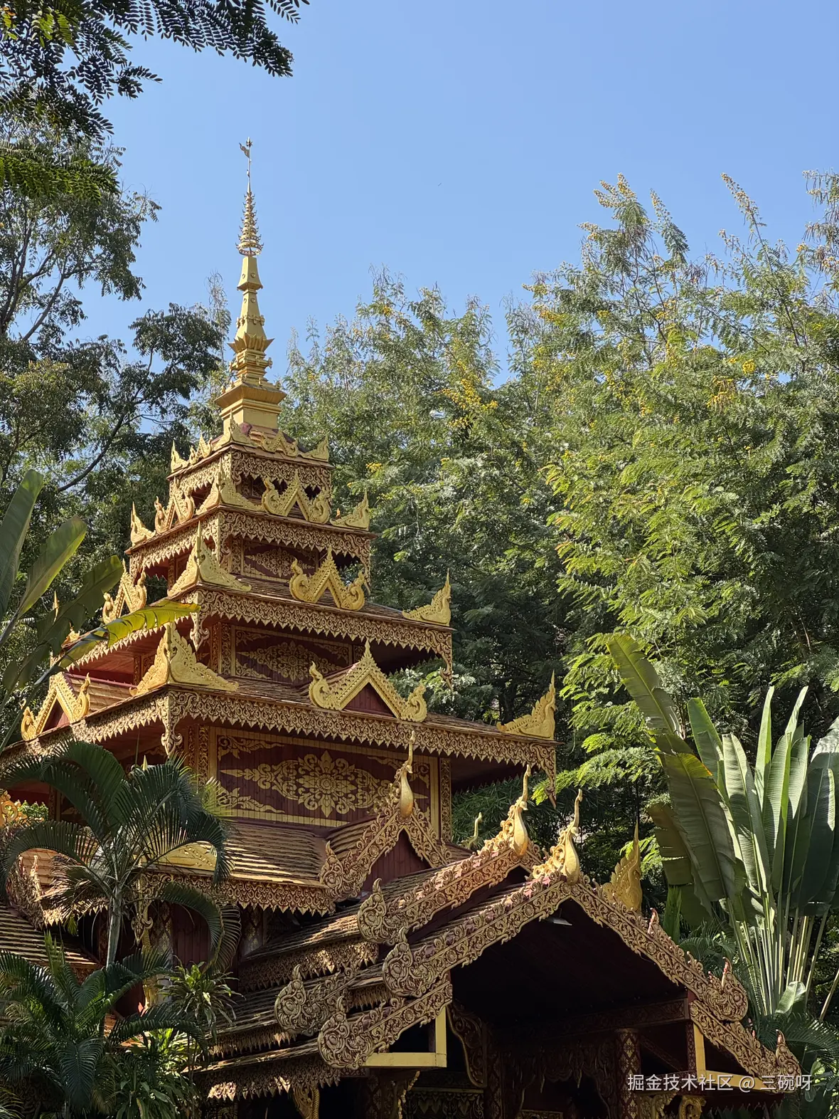 三碗呀于2024-12-09 11:51发布的图片