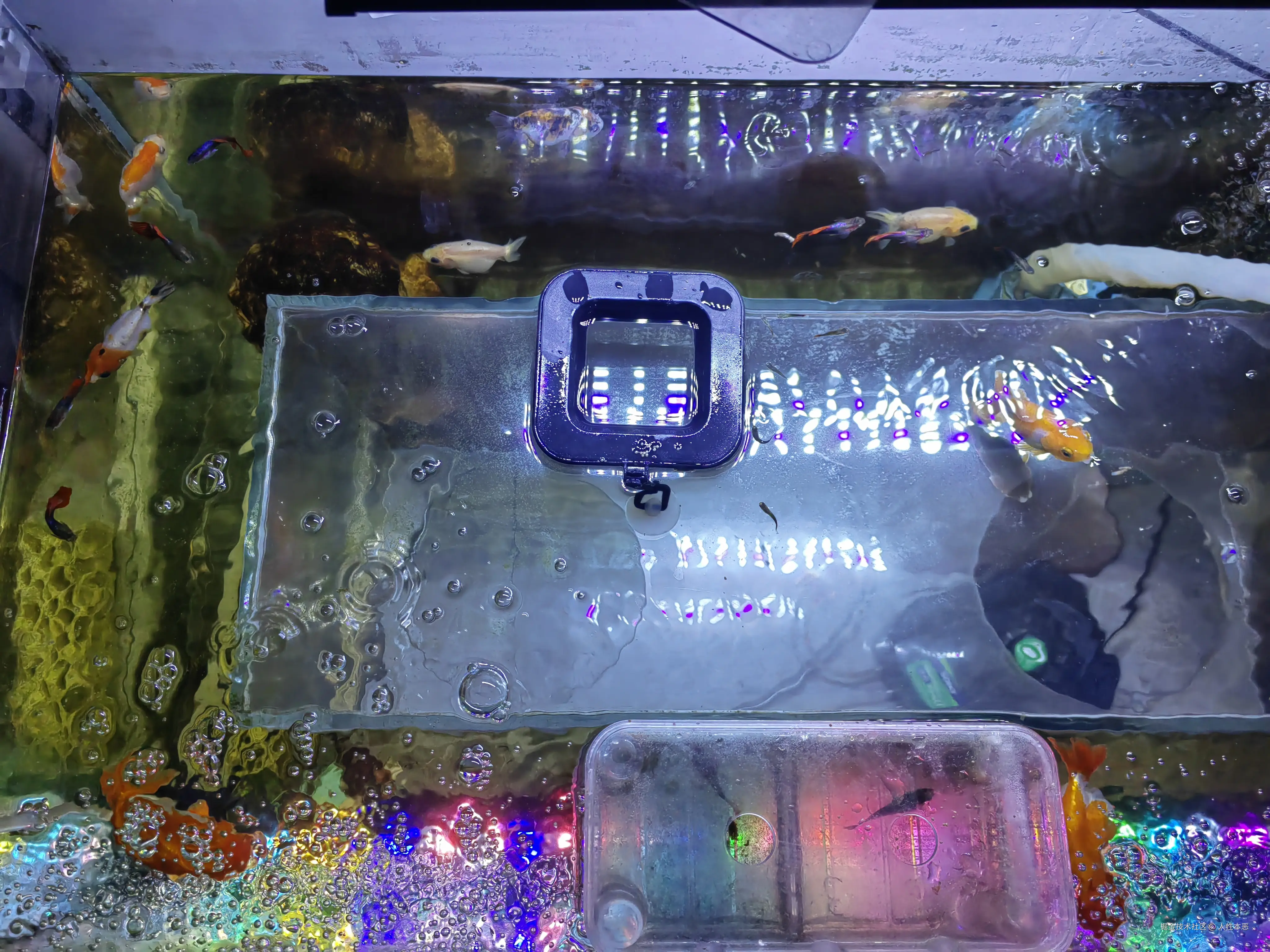 人性本恶于2025-07-04 10:46发布的图片