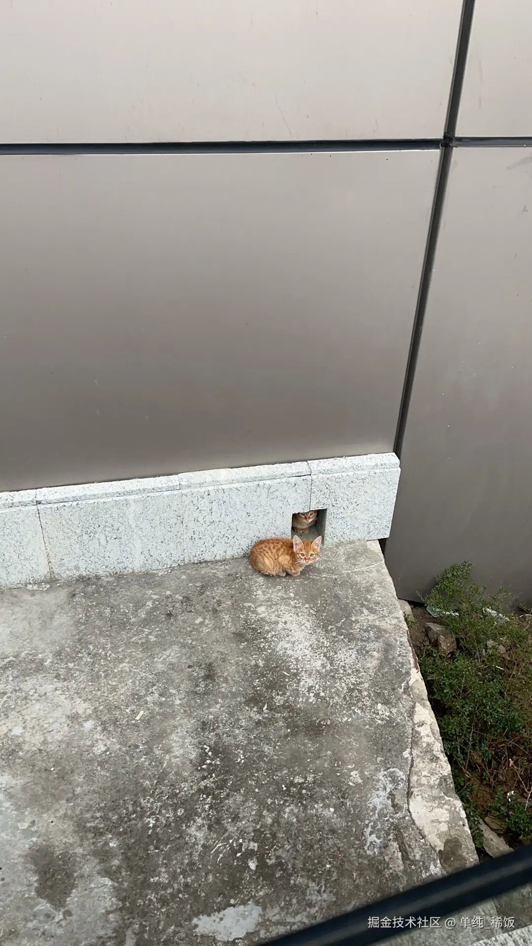 单纯_稀饭于2024-11-19 13:04发布的图片