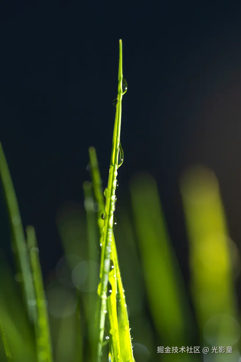 光影童于2025-07-29 10:11发布的图片