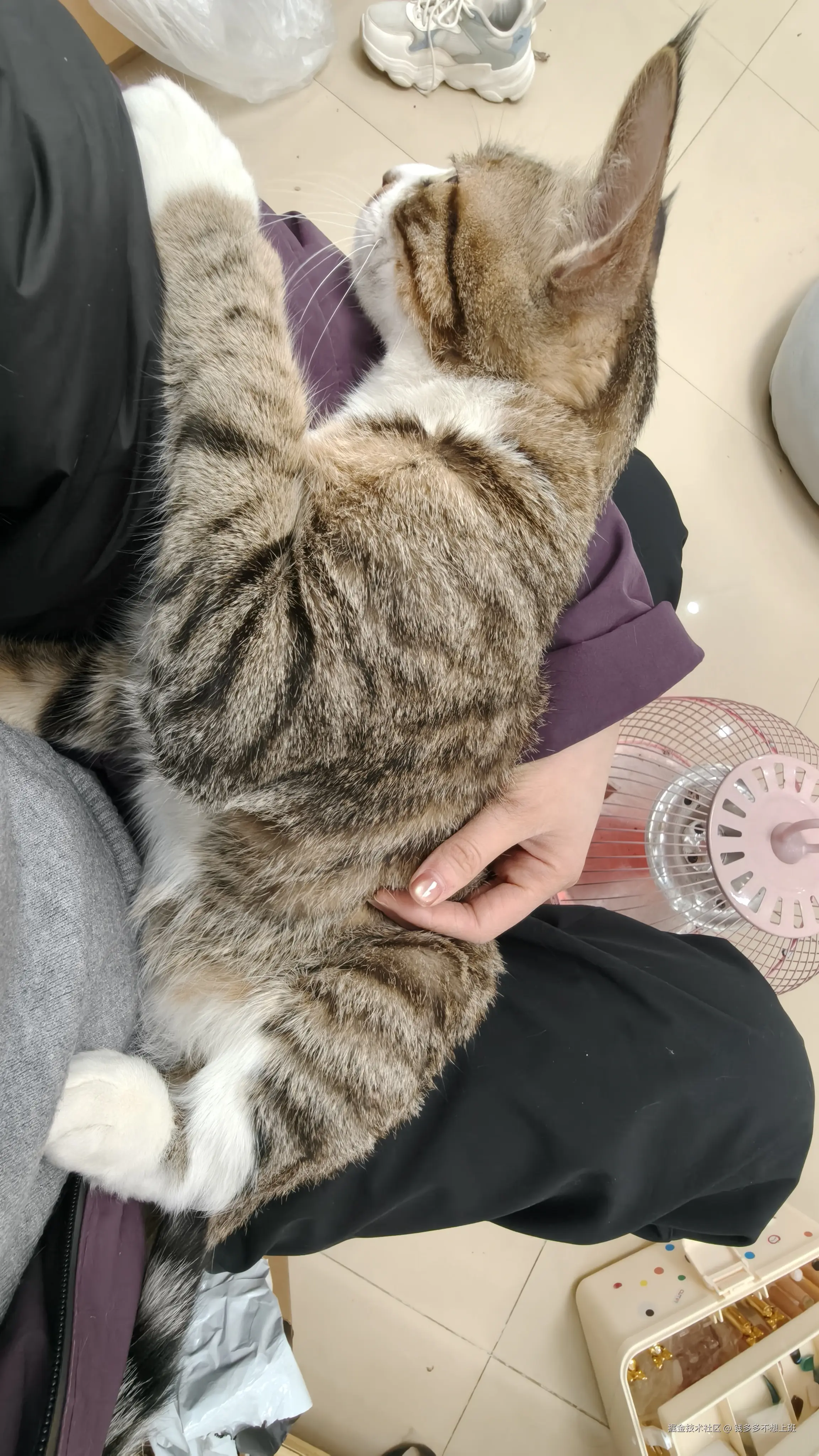 钱多多不想上班于2026-02-02 10:37发布的图片