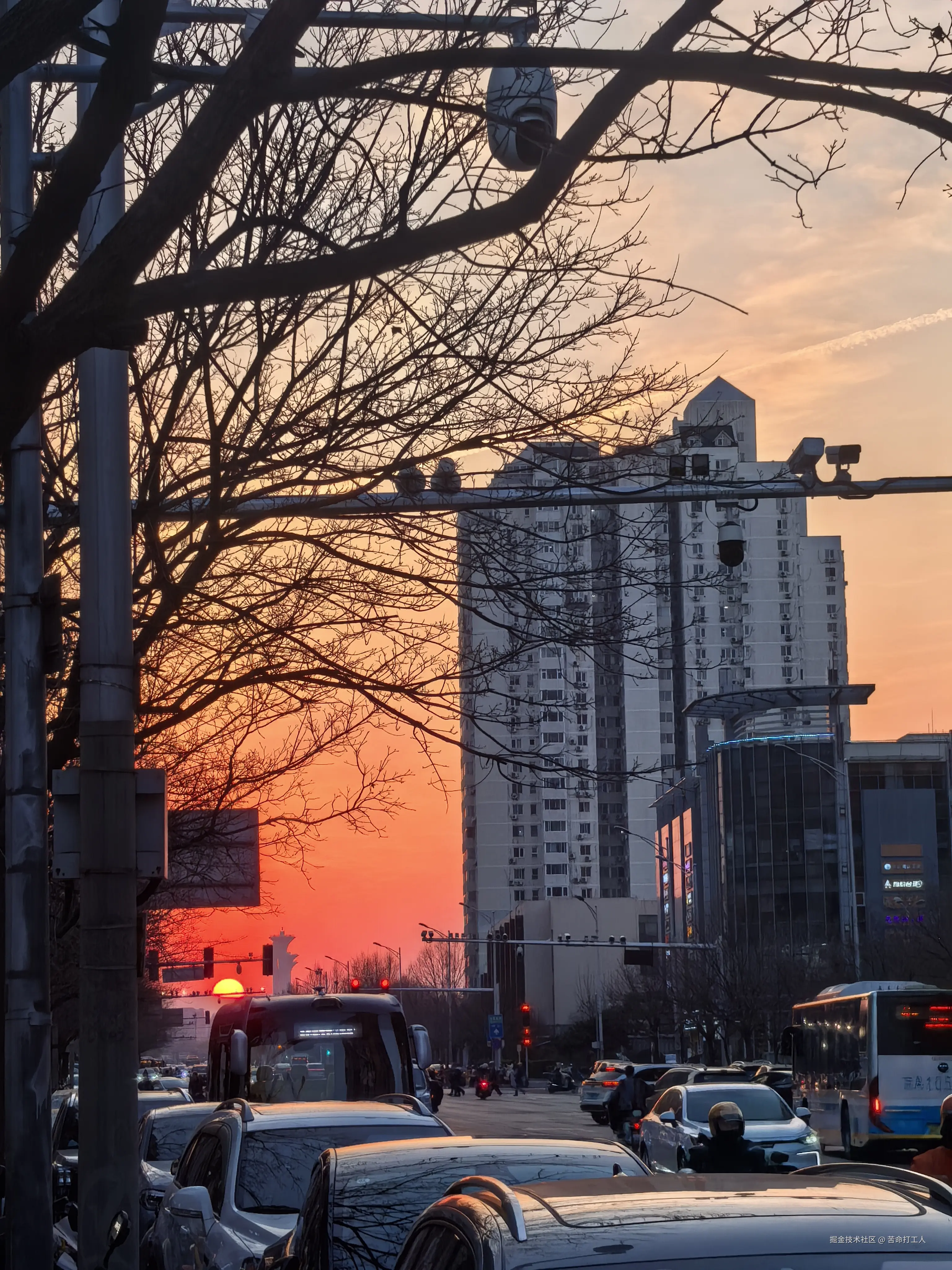 苦命打工人于2026-03-20 11:22发布的图片