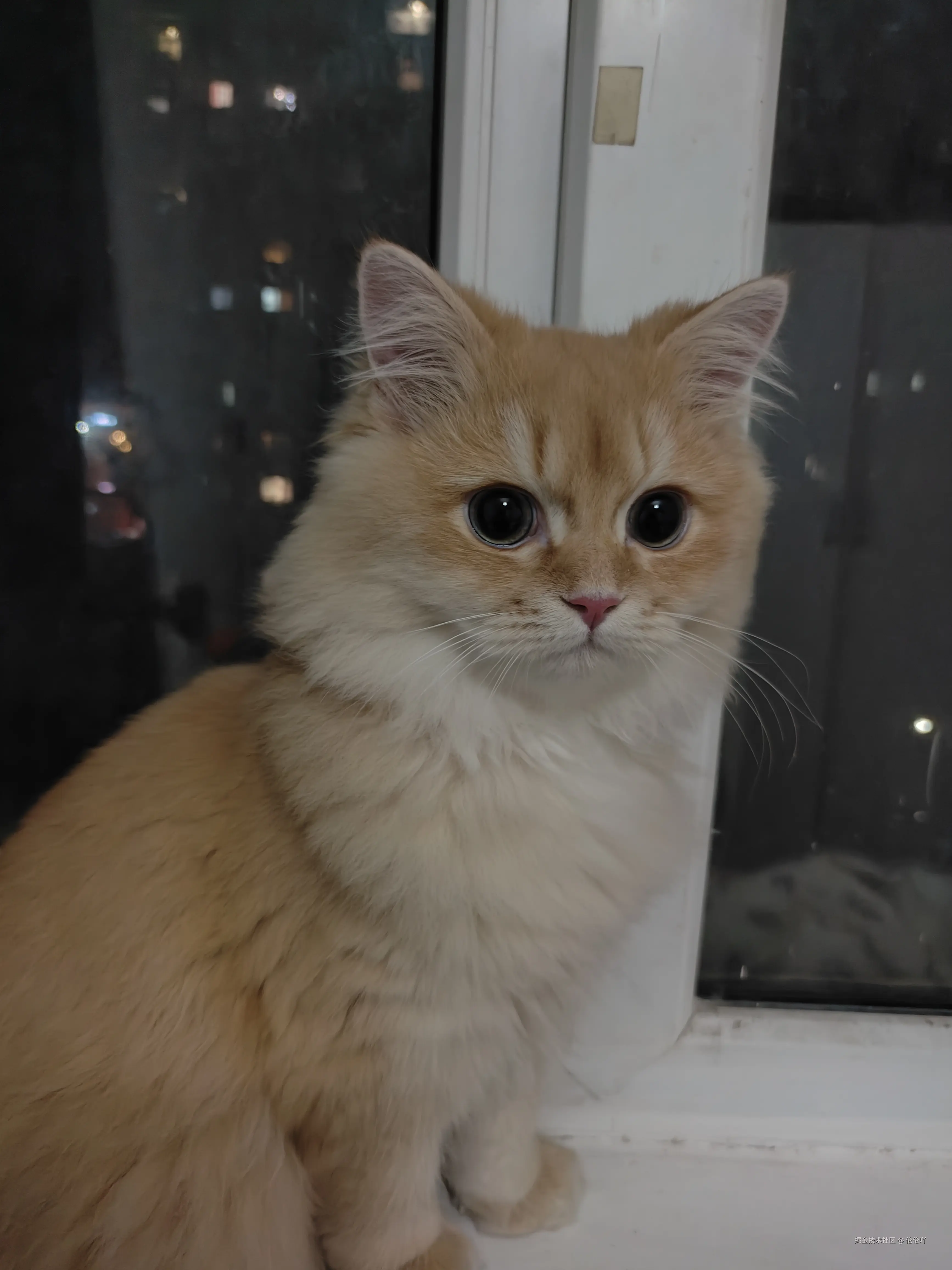 伦伦吖于2024-11-28 10:04发布的图片