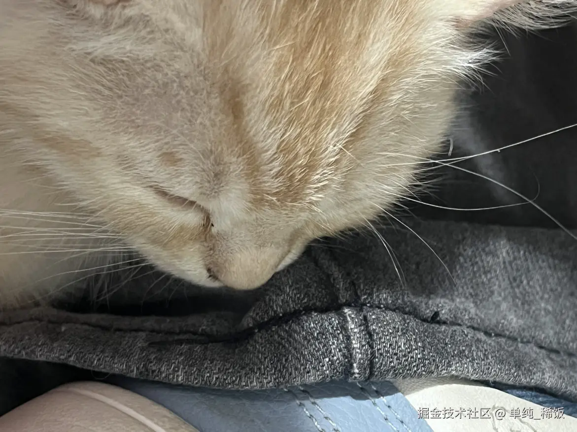 单纯_稀饭于2025-03-17 09:52发布的图片