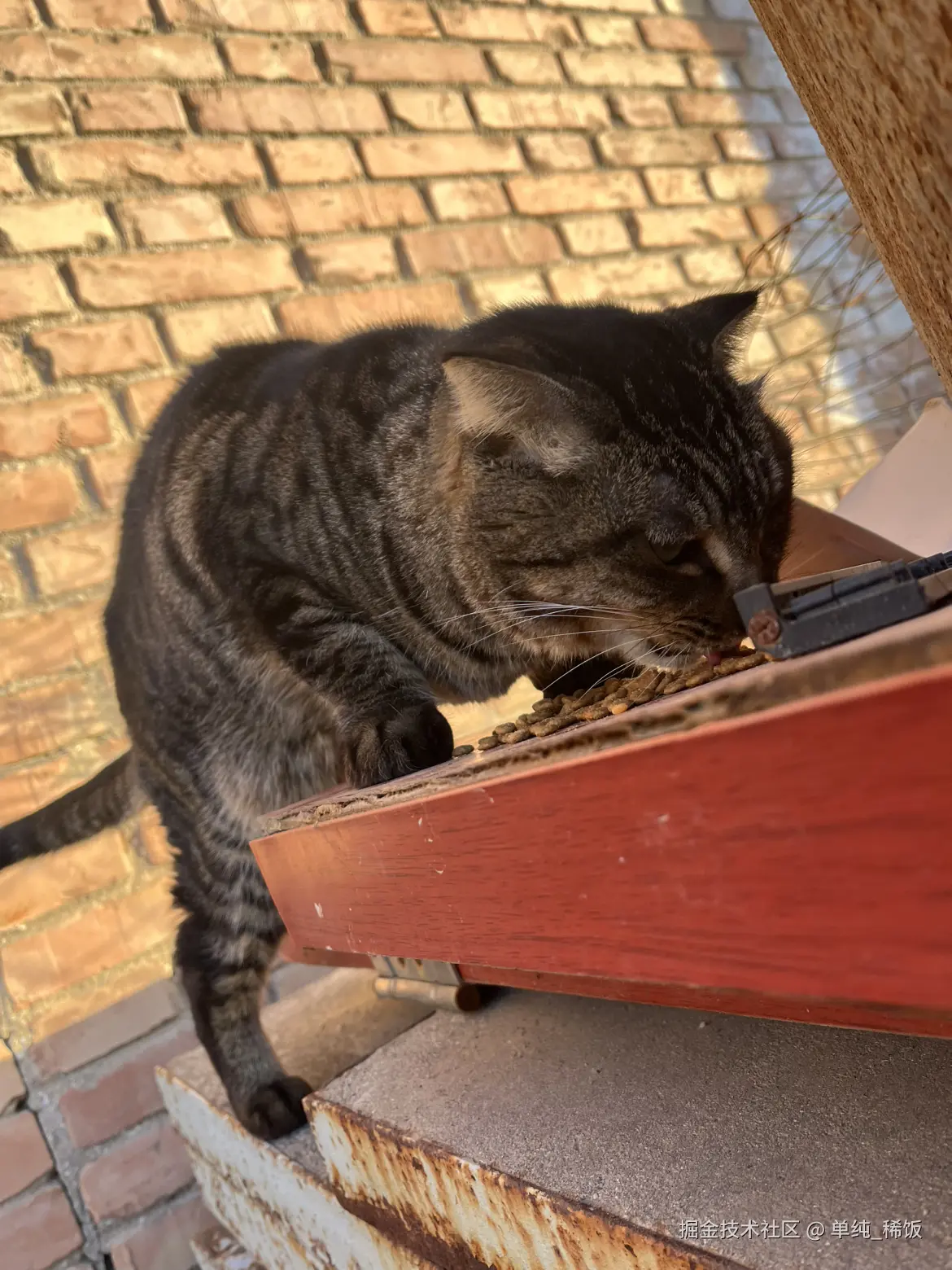 单纯_稀饭于2025-11-25 08:35发布的图片