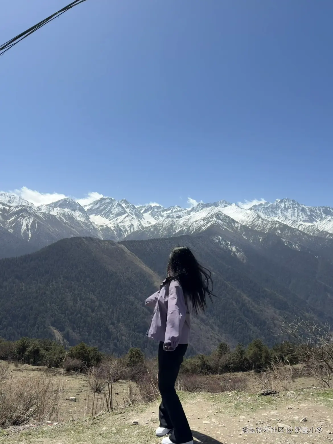 奶盖小多于2026-04-21 16:29发布的图片