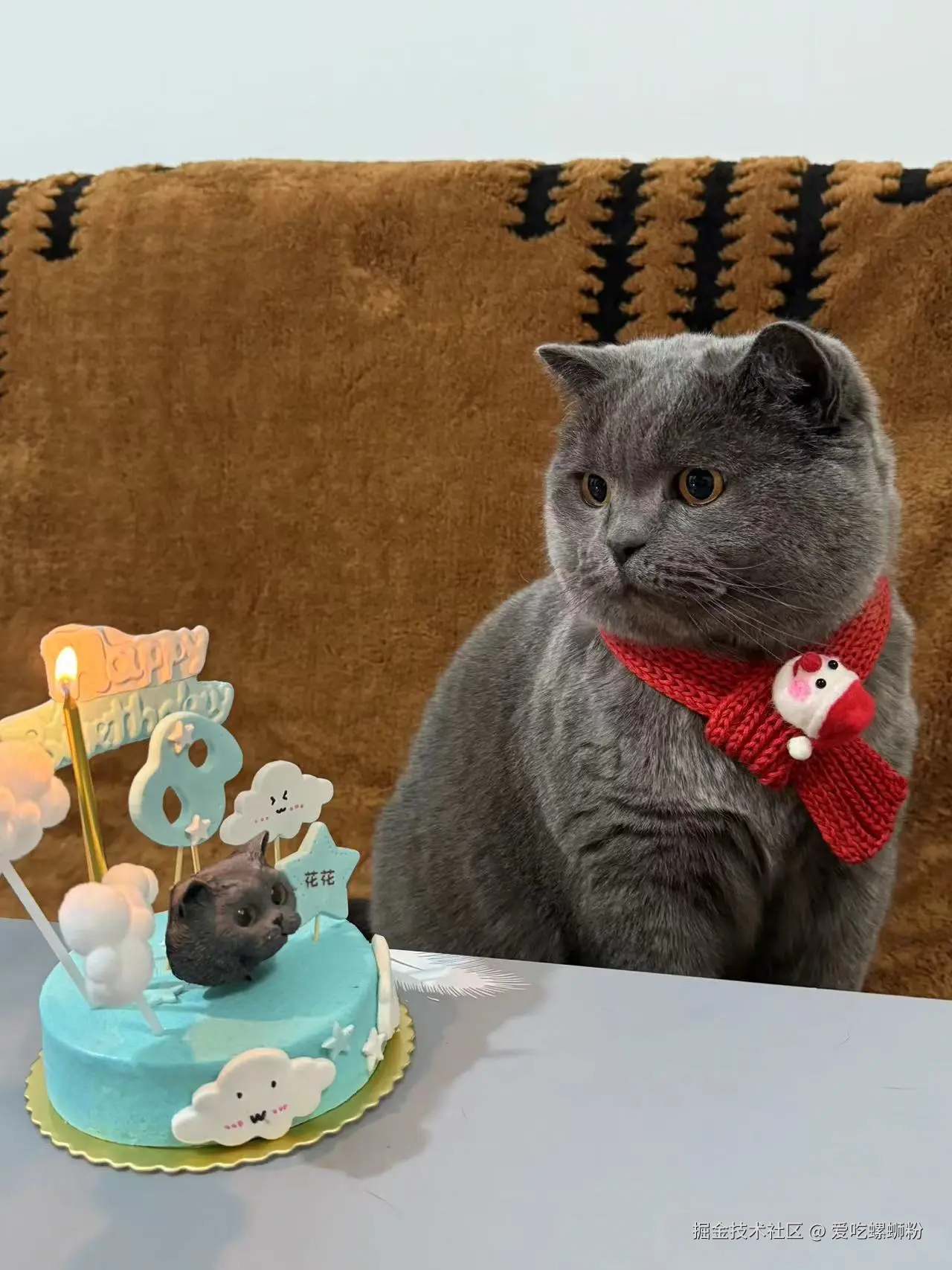 爱吃螺蛳粉于2024-12-30 09:35发布的图片