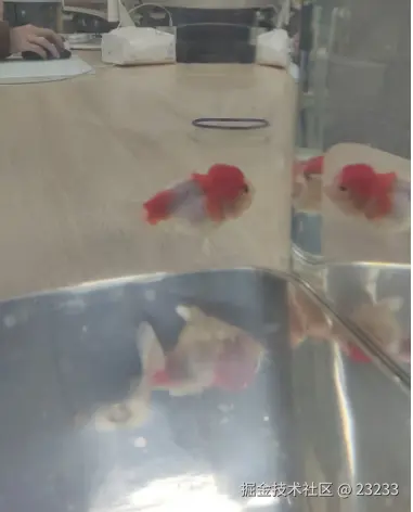 23233于2024-12-16 19:59发布的图片