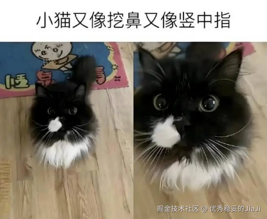 优秀稳妥的JiaJi于2026-08-18 16:12发布的图片