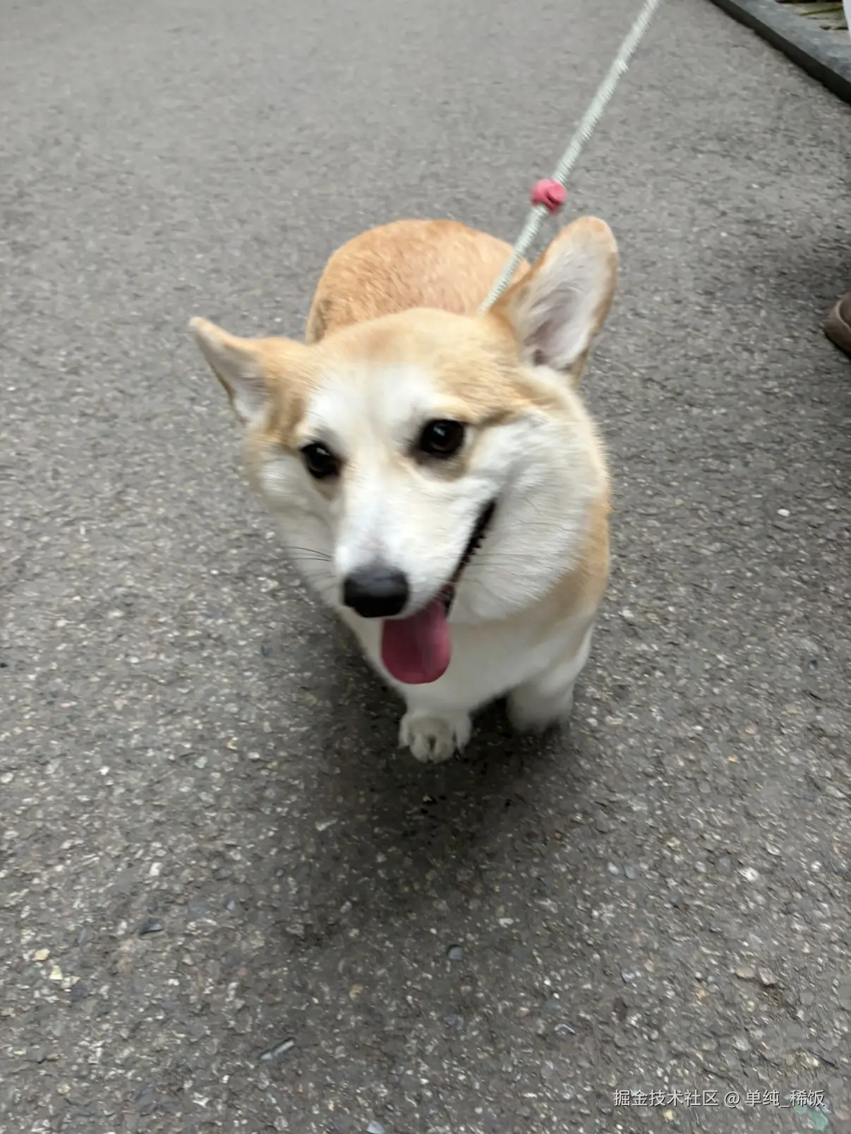 单纯_稀饭于2026-03-12 17:25发布的图片