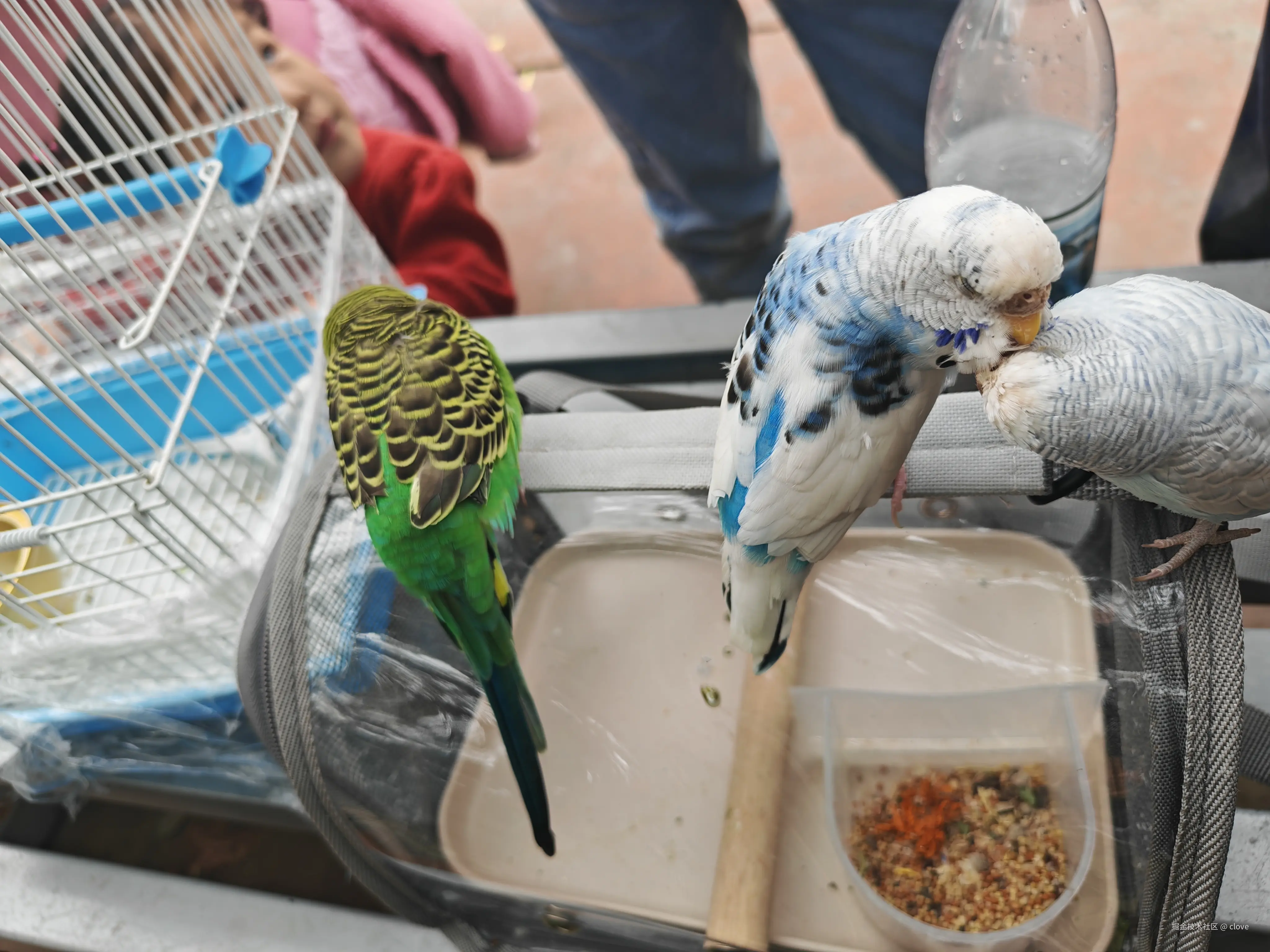 clove于2026-03-15 19:57发布的图片