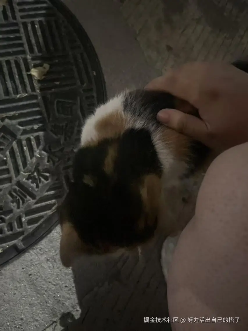 努力活出自己的搭子于2024-12-24 11:31发布的图片