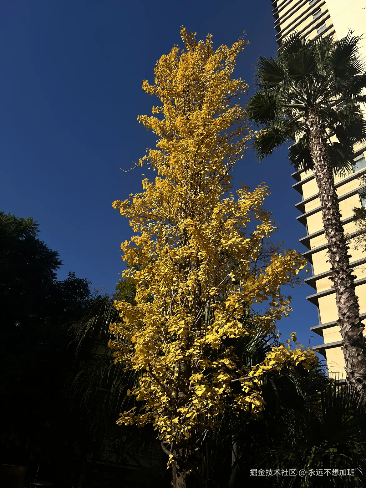 永远不想加班于2025-12-08 13:28发布的图片