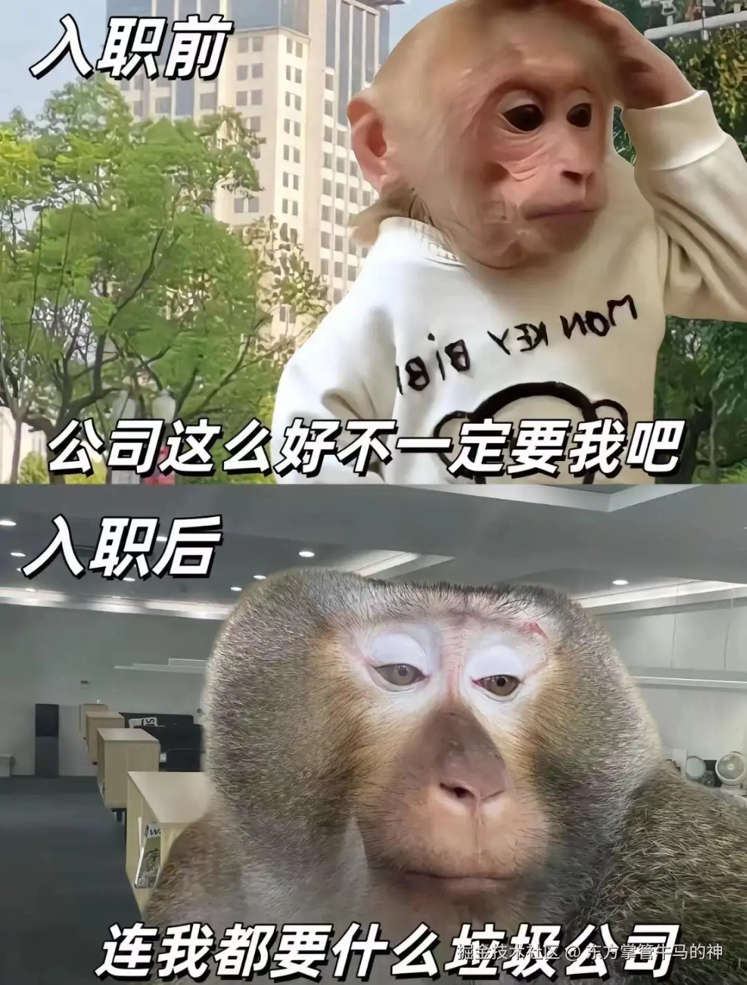 东方掌管牛马的神于2024-07-30 16:50发布的图片