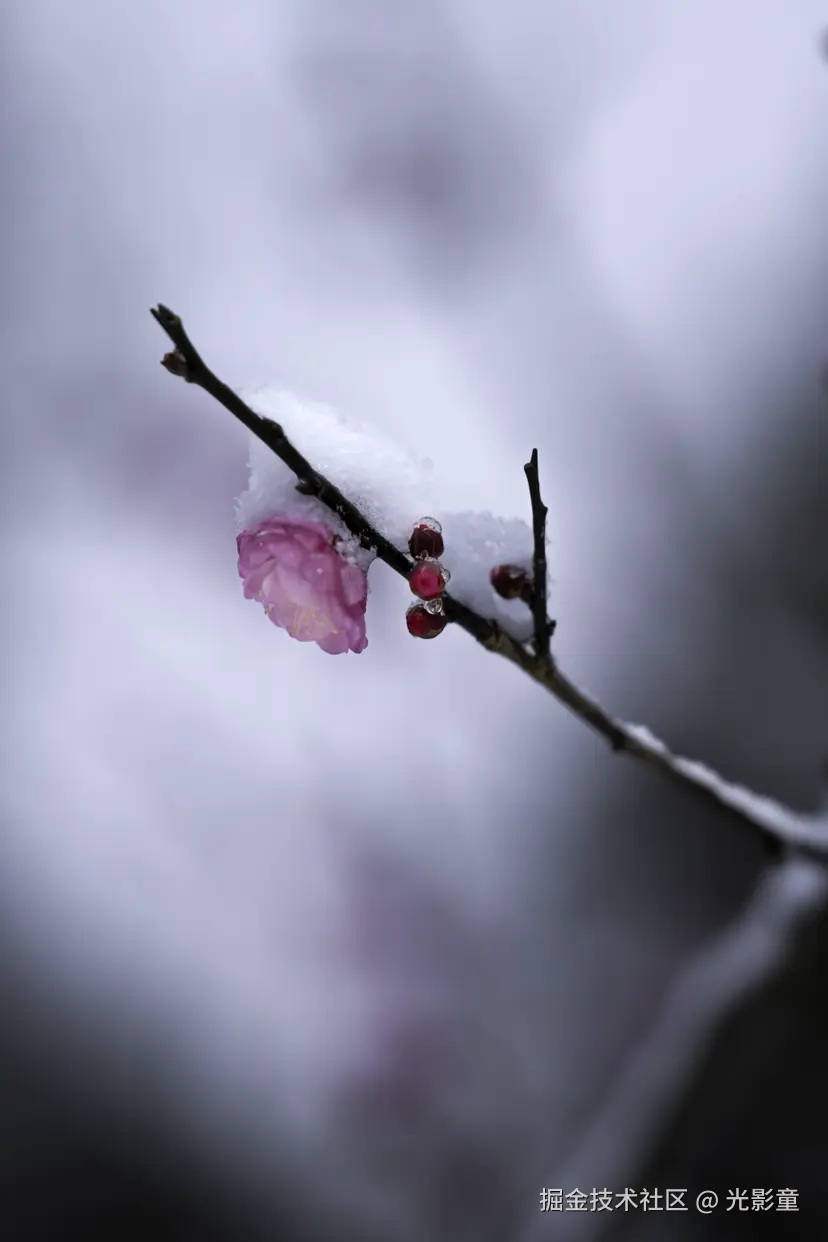 光影童于2026-01-21 11:03发布的图片