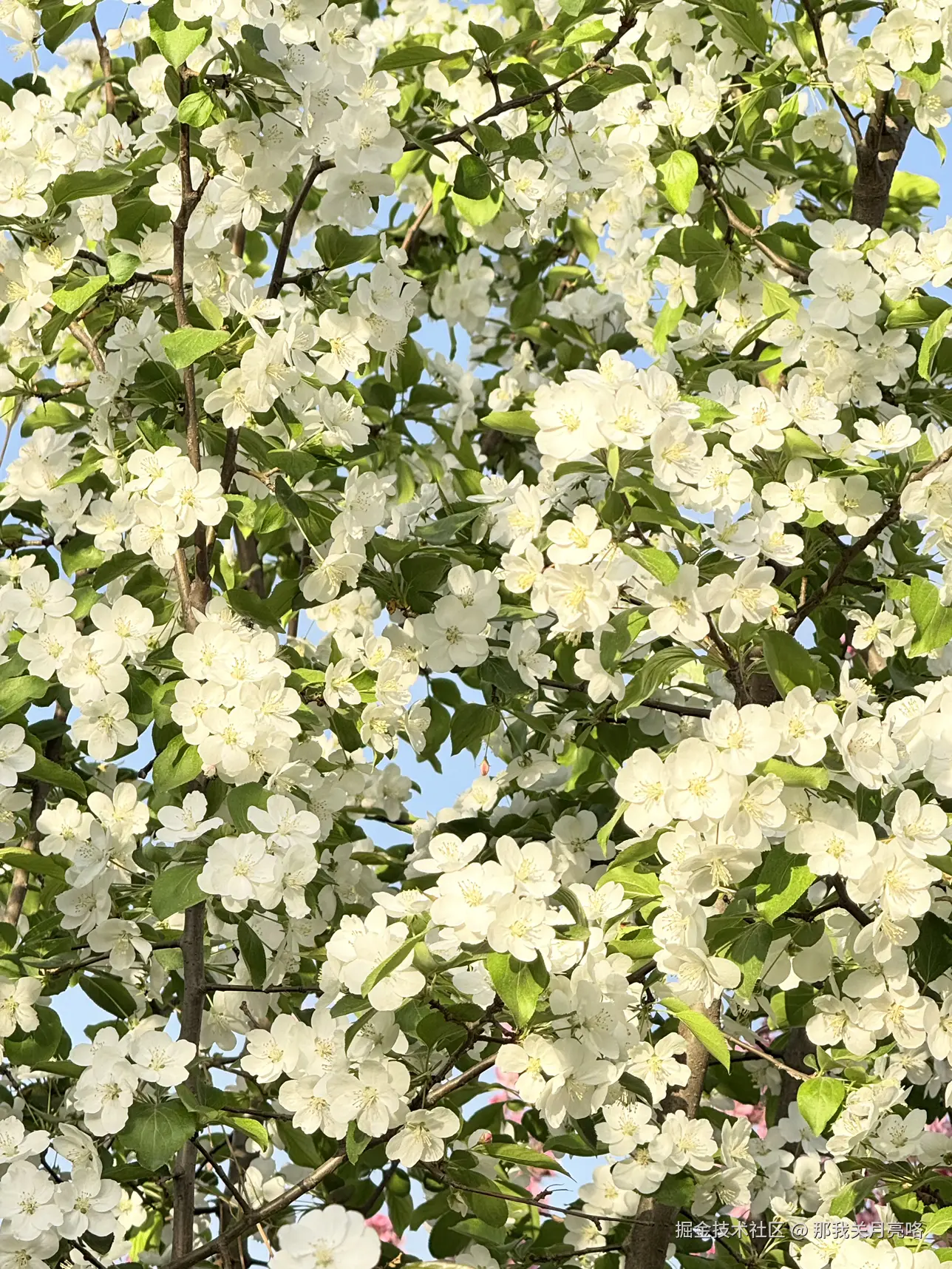 那我关月亮咯于2025-04-10 15:07发布的图片