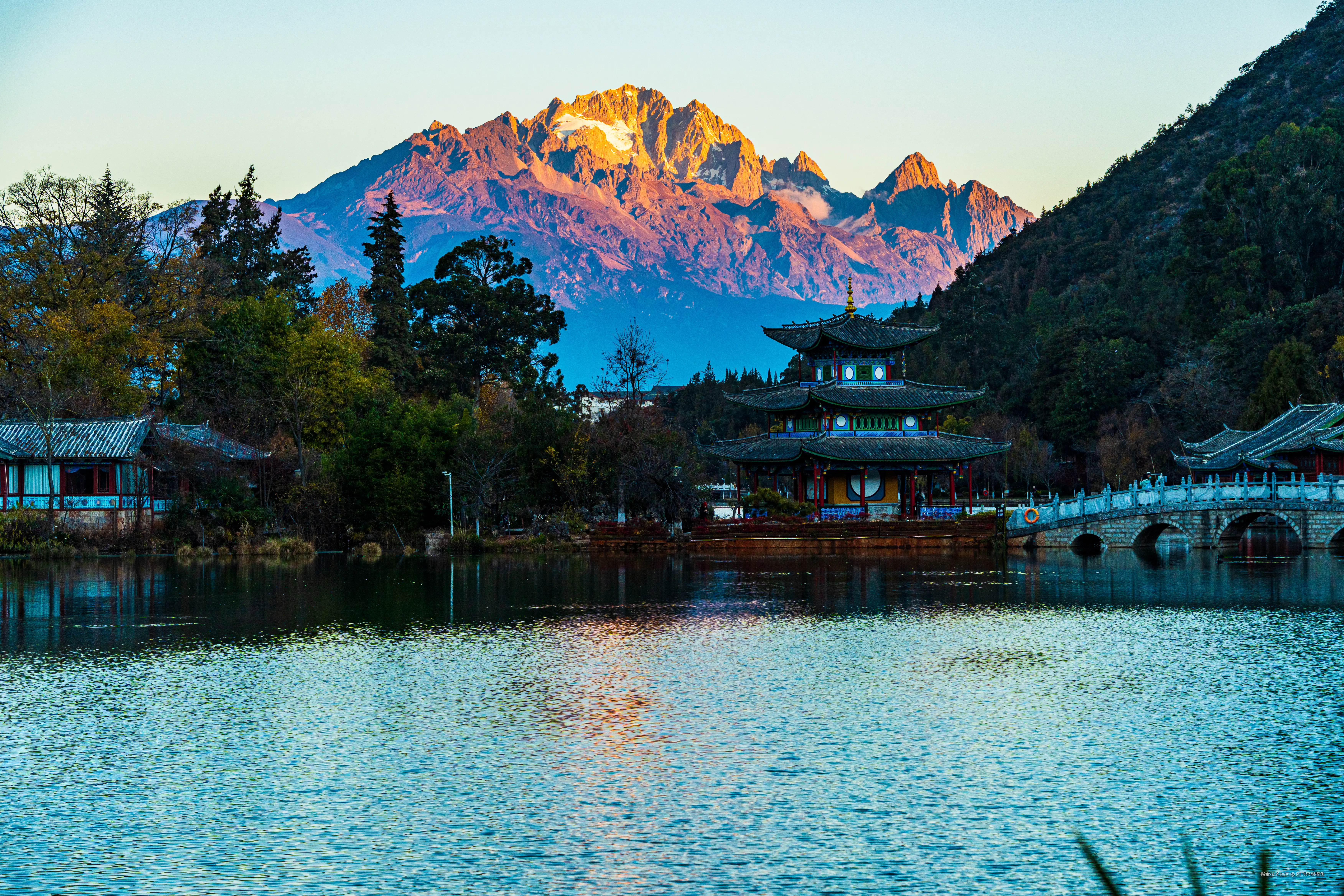 阿飞只想摸鱼于2026-02-11 14:49发布的图片