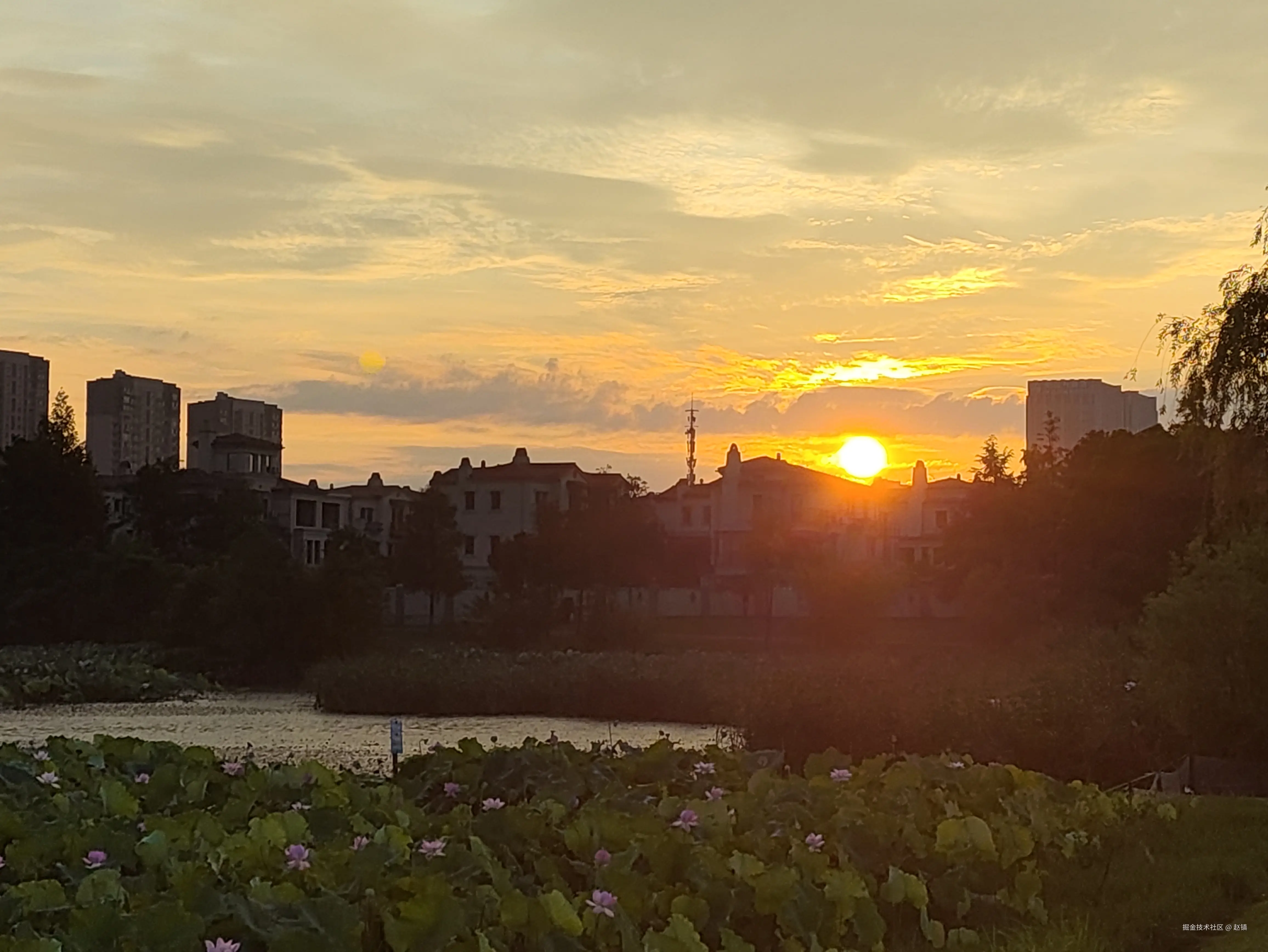 赵镇于2024-08-01 09:49发布的图片