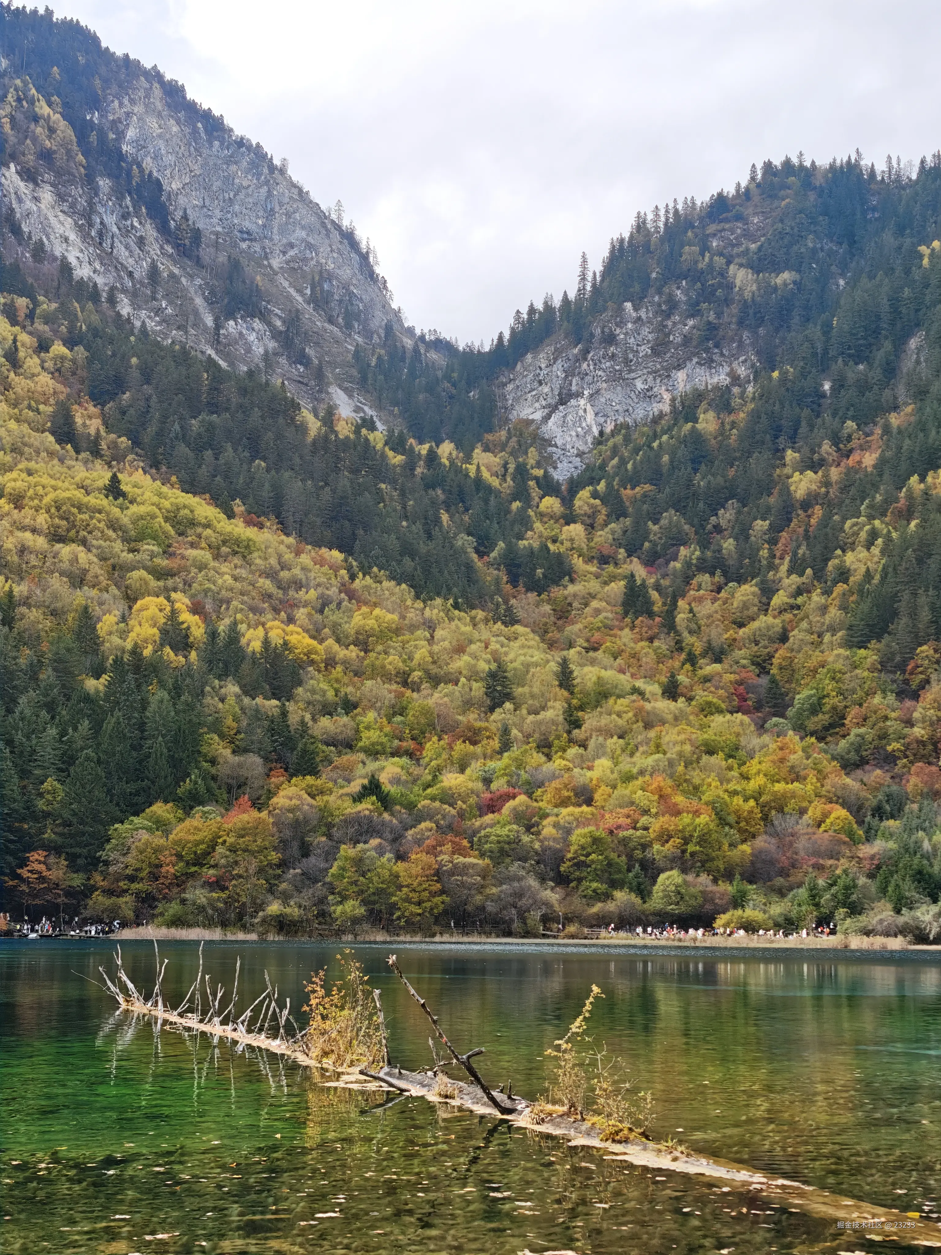 23233于2025-11-06 15:52发布的图片