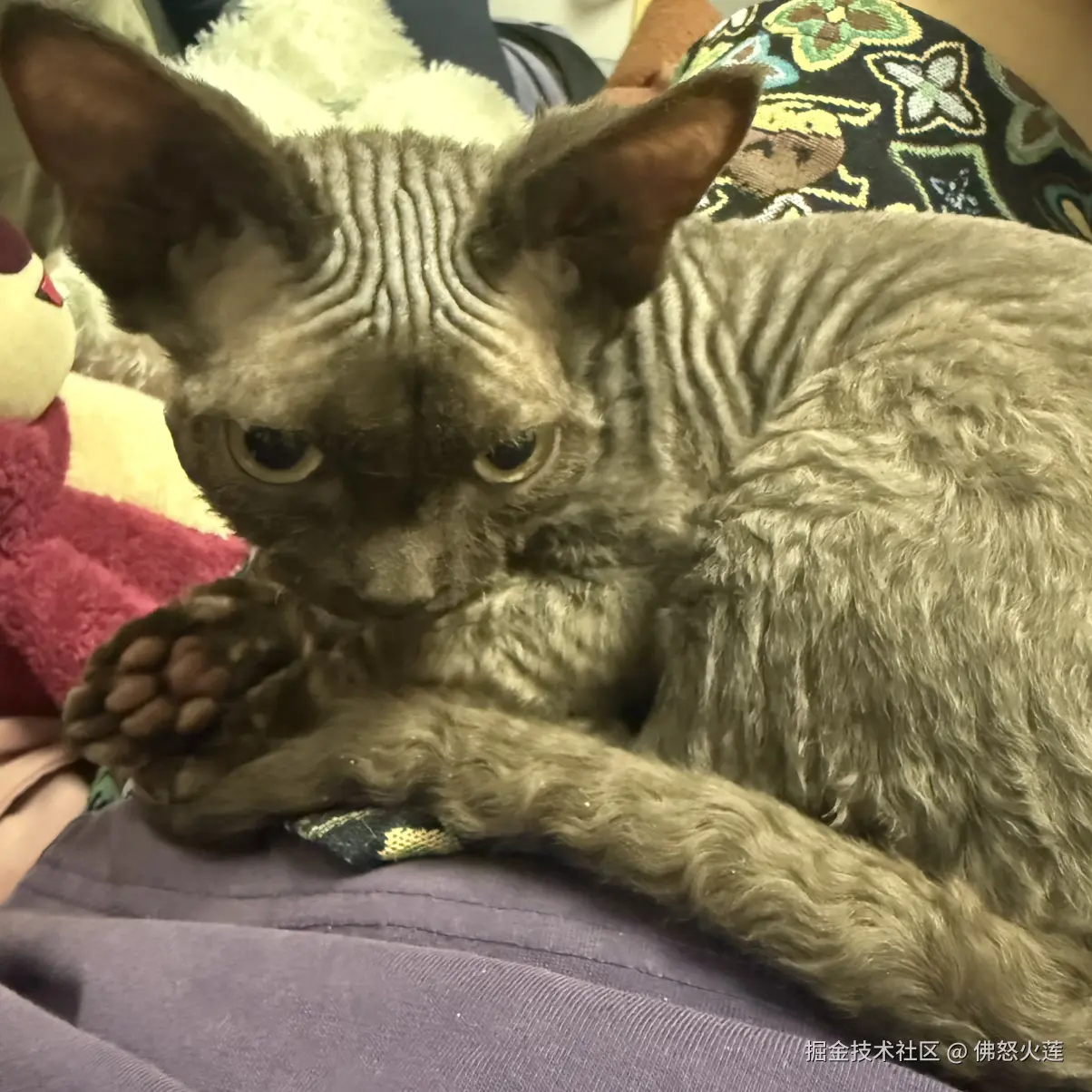 佛怒火莲于2025-11-19 18:47发布的图片