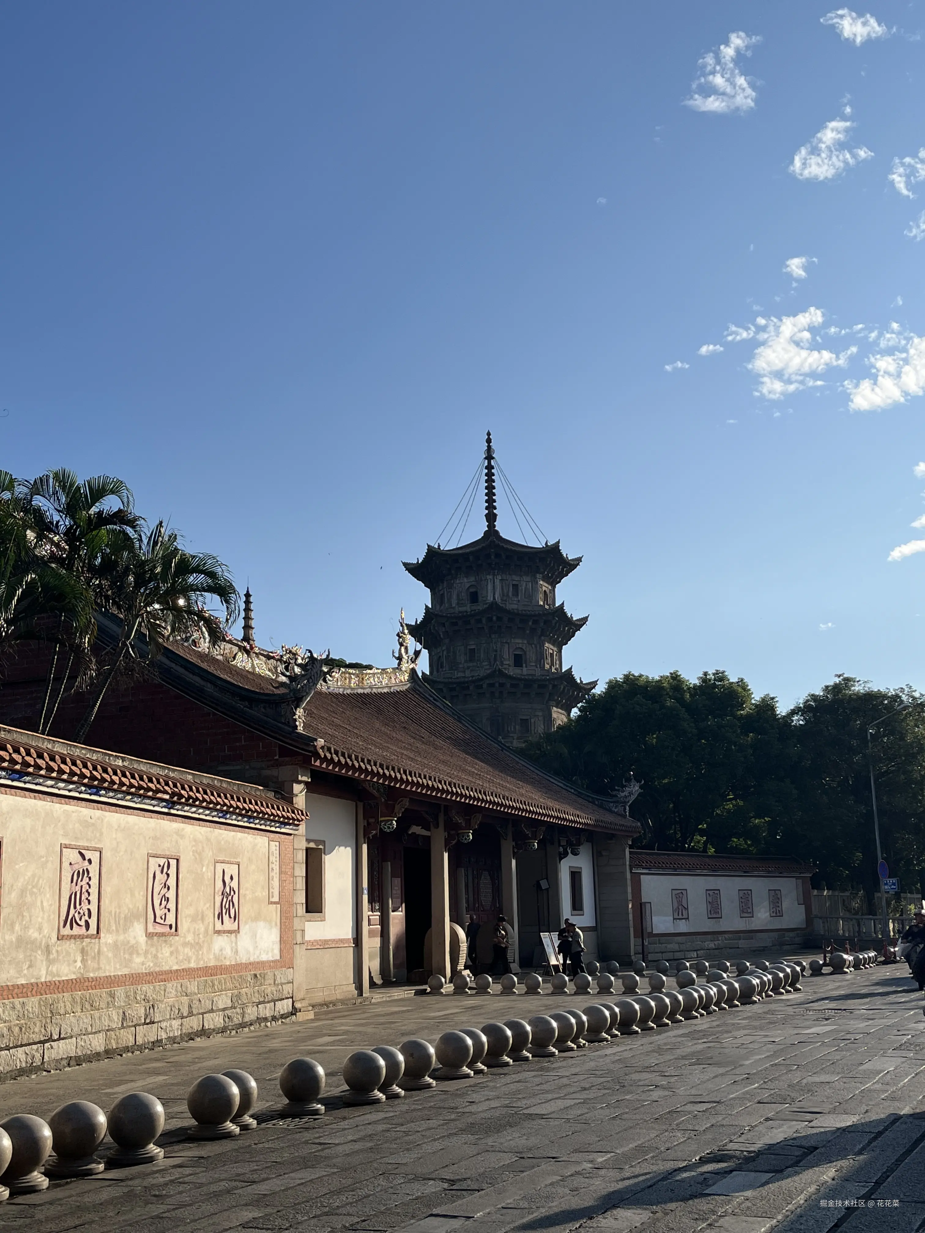 花花菜于2024-11-04 15:07发布的图片