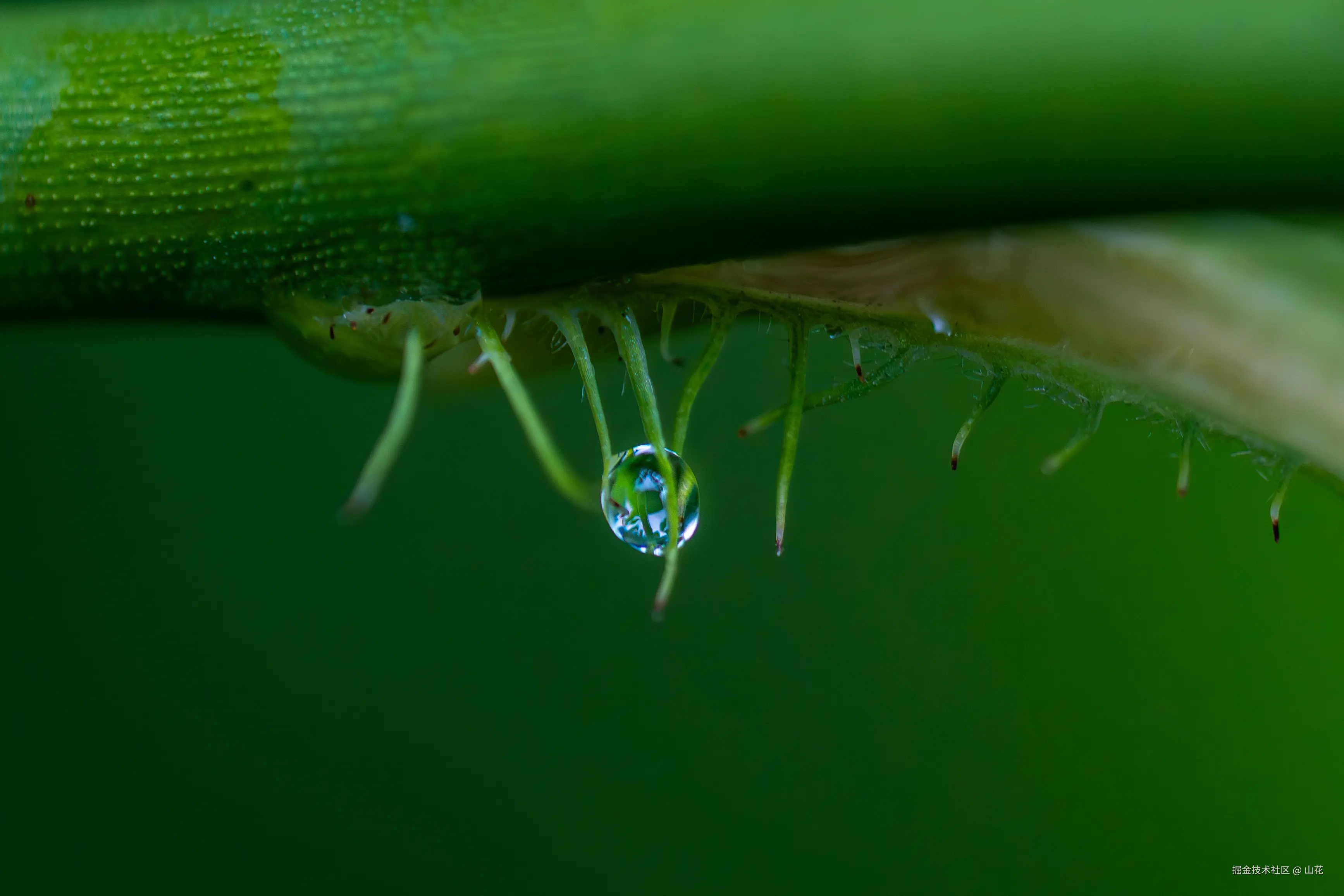 山花于2025-07-21 10:12发布的图片
