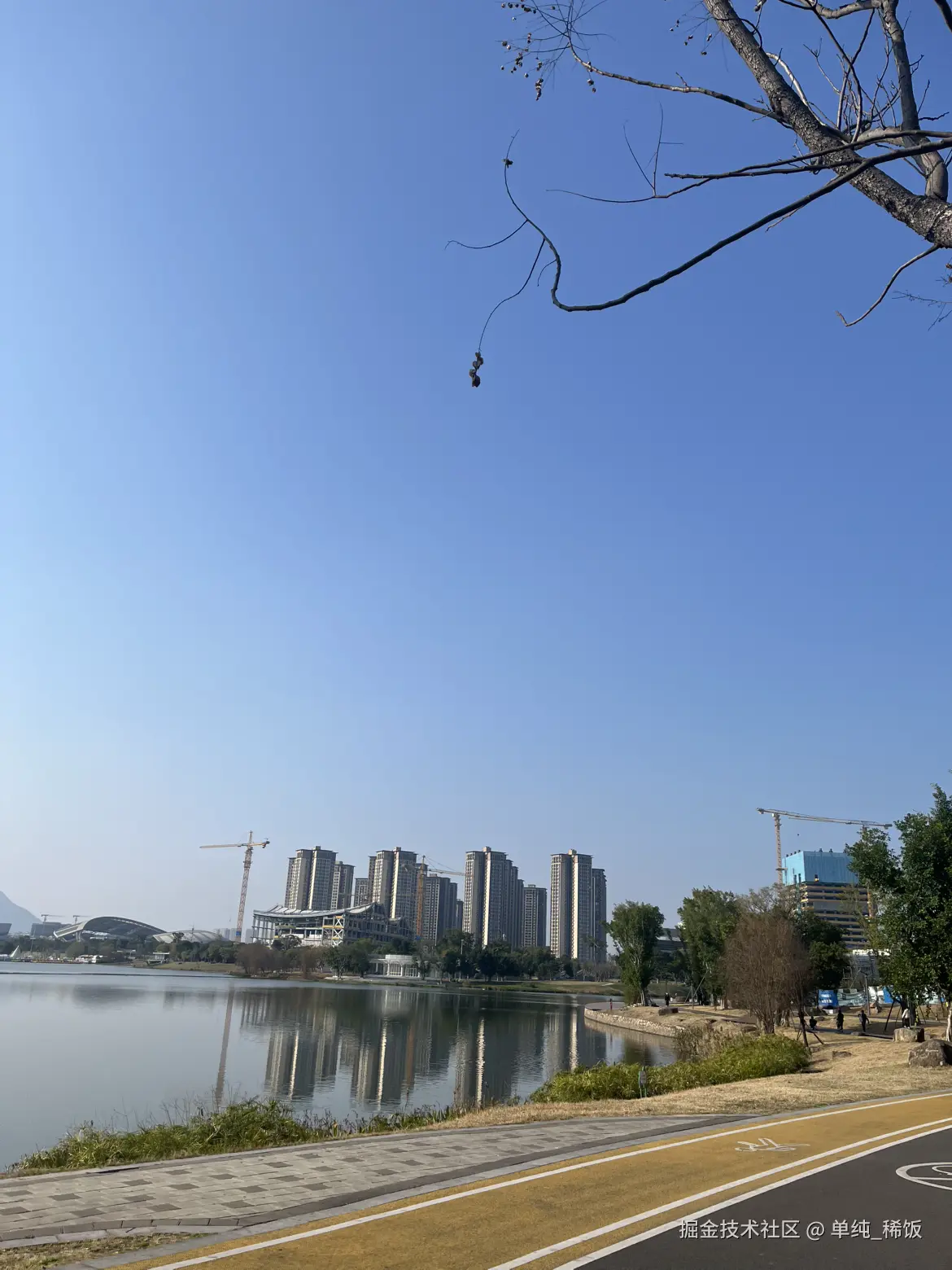 单纯_稀饭于2025-03-11 16:34发布的图片