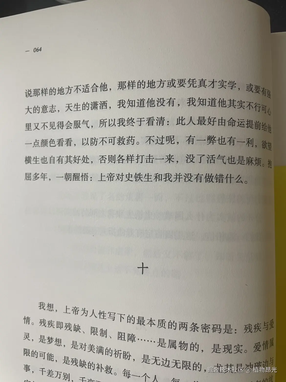 植物昂光于2026-05-10 20:47发布的图片