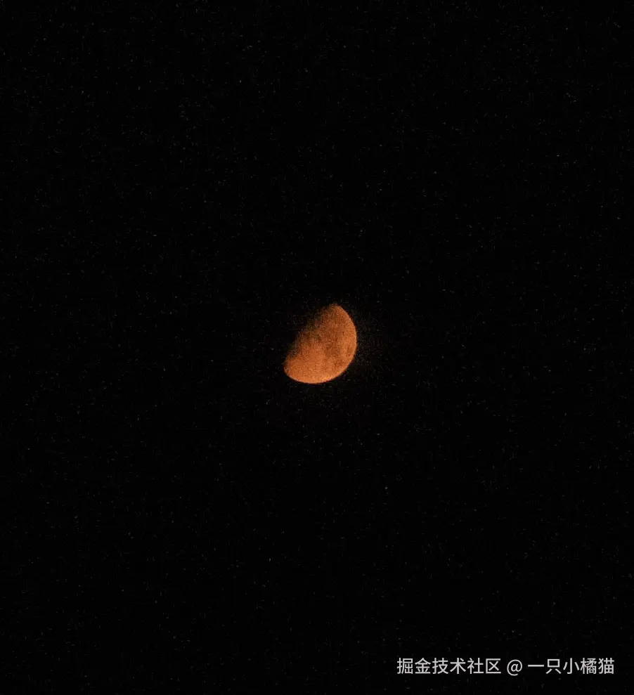 一只小橘猫于2025-08-05 10:28发布的图片