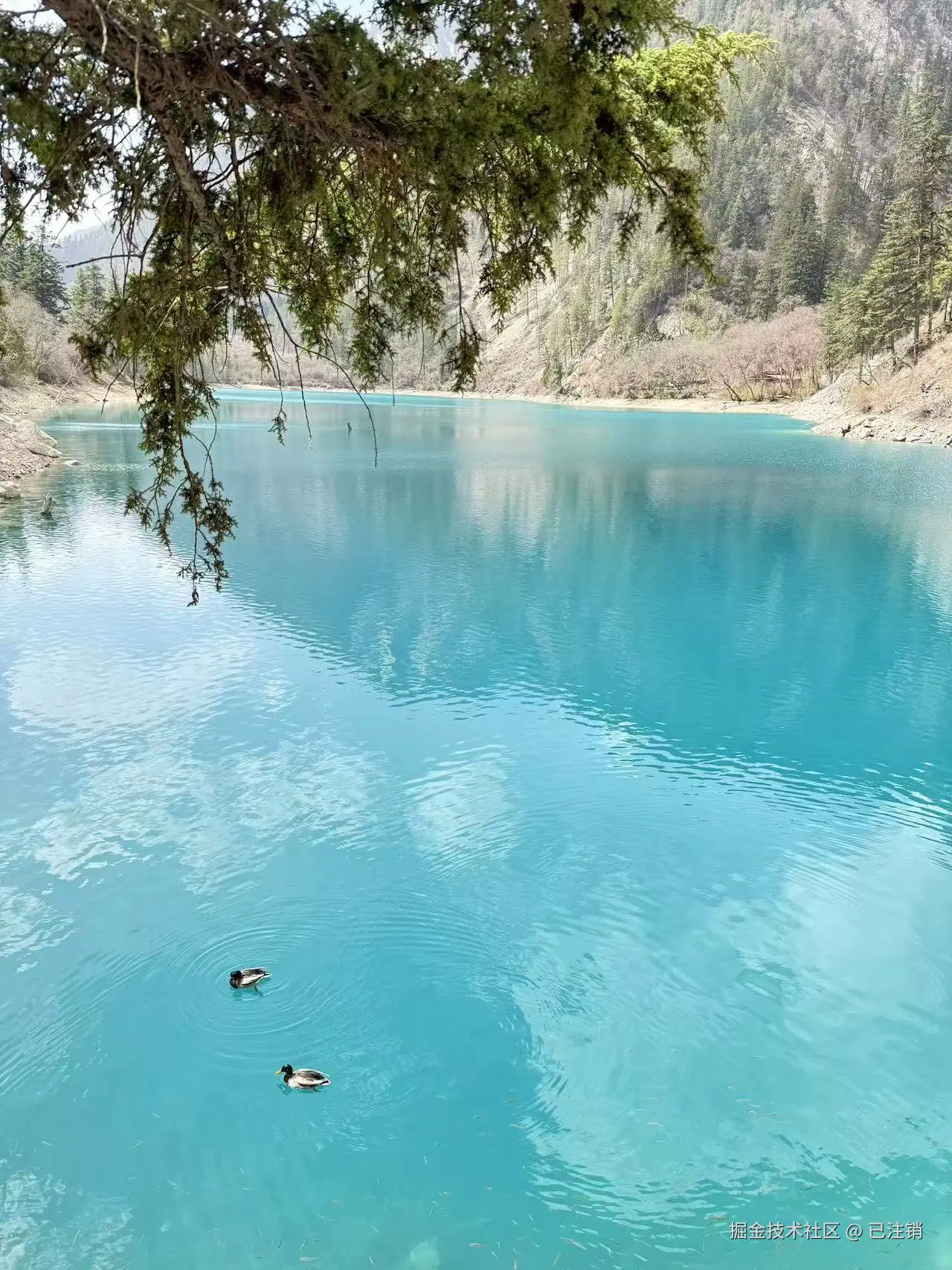 已注销于2025-05-26 08:22发布的图片