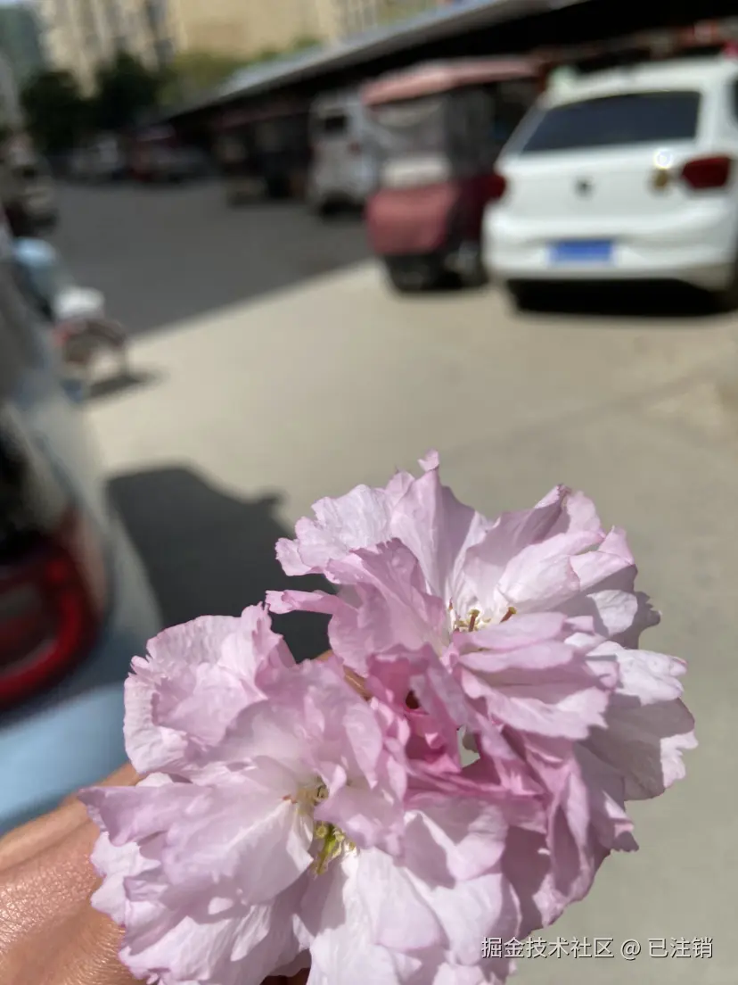 已注销于2025-04-06 11:58发布的图片