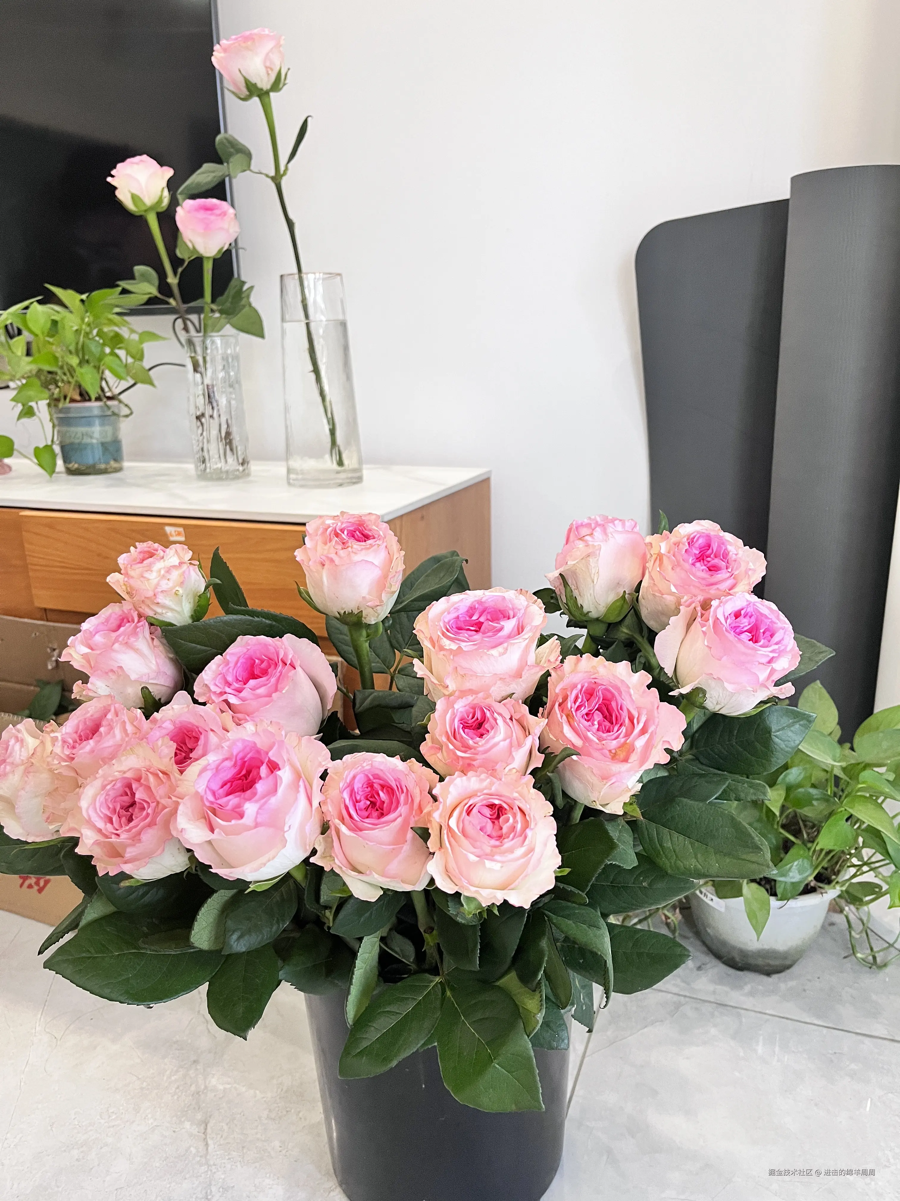 进击的绵羊周周于2025-04-02 09:09发布的图片