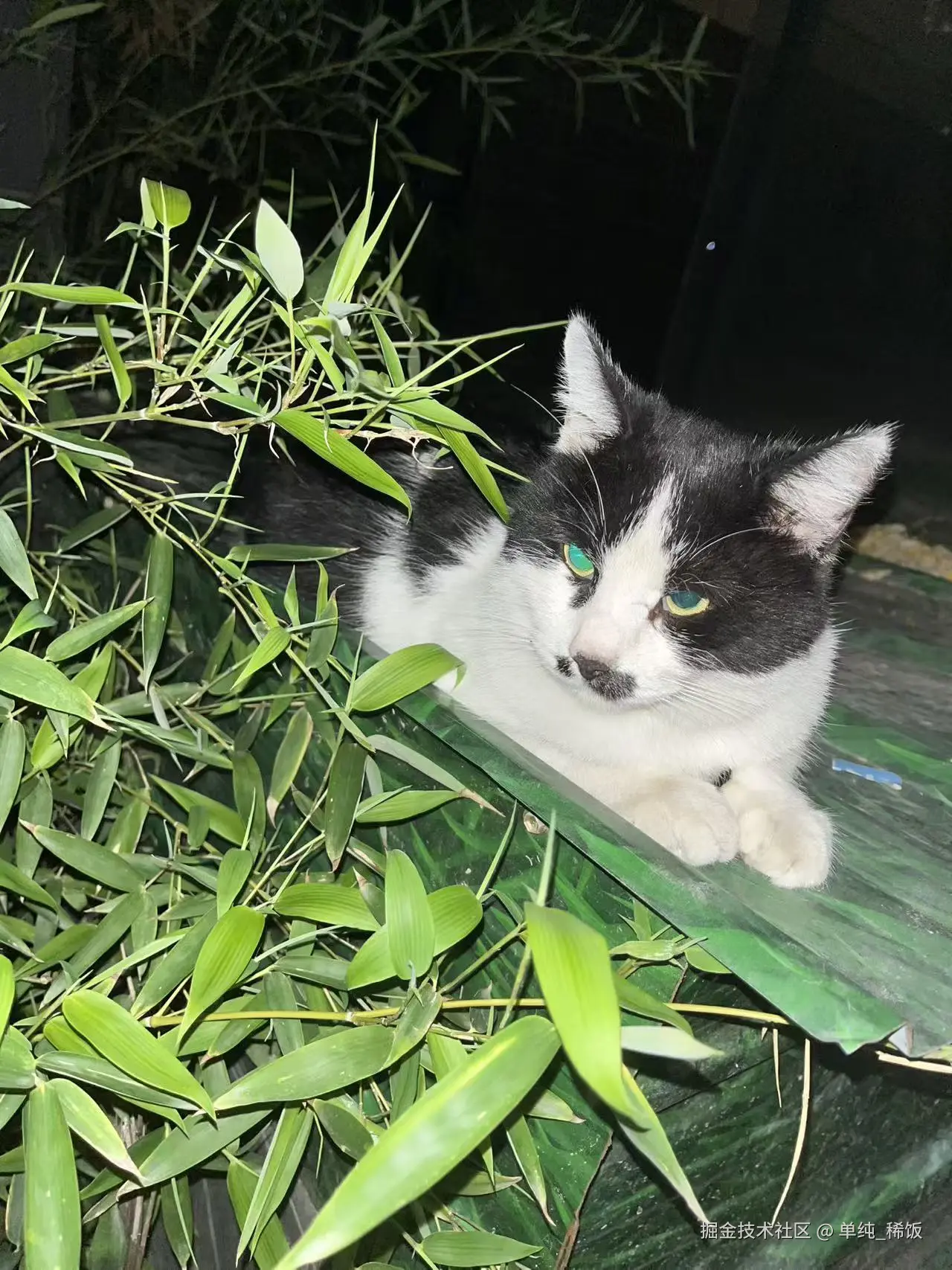 单纯_稀饭于2025-10-08 21:27发布的图片
