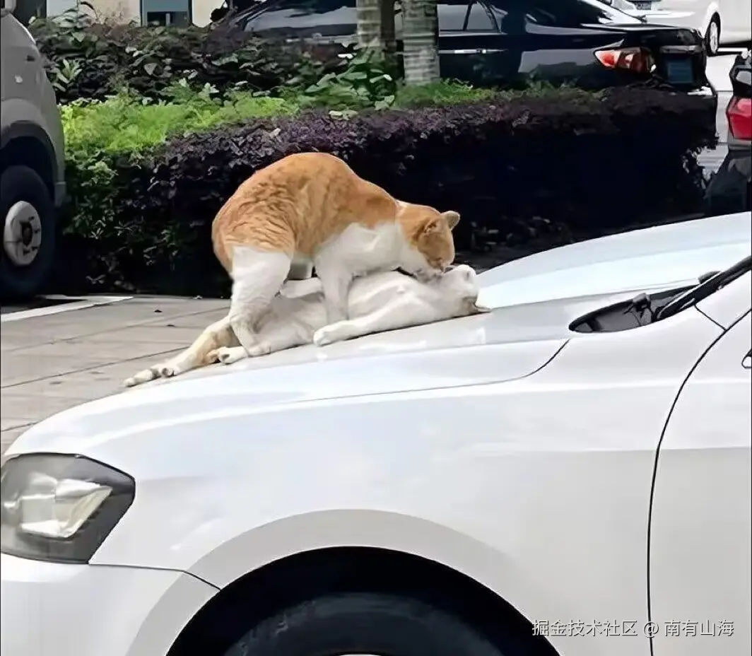 南有山海于2025-06-20 08:55发布的图片