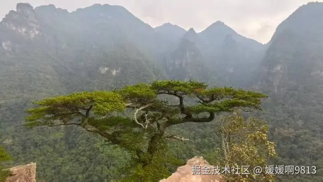 媛媛啊9813于2026-02-25 16:50发布的图片