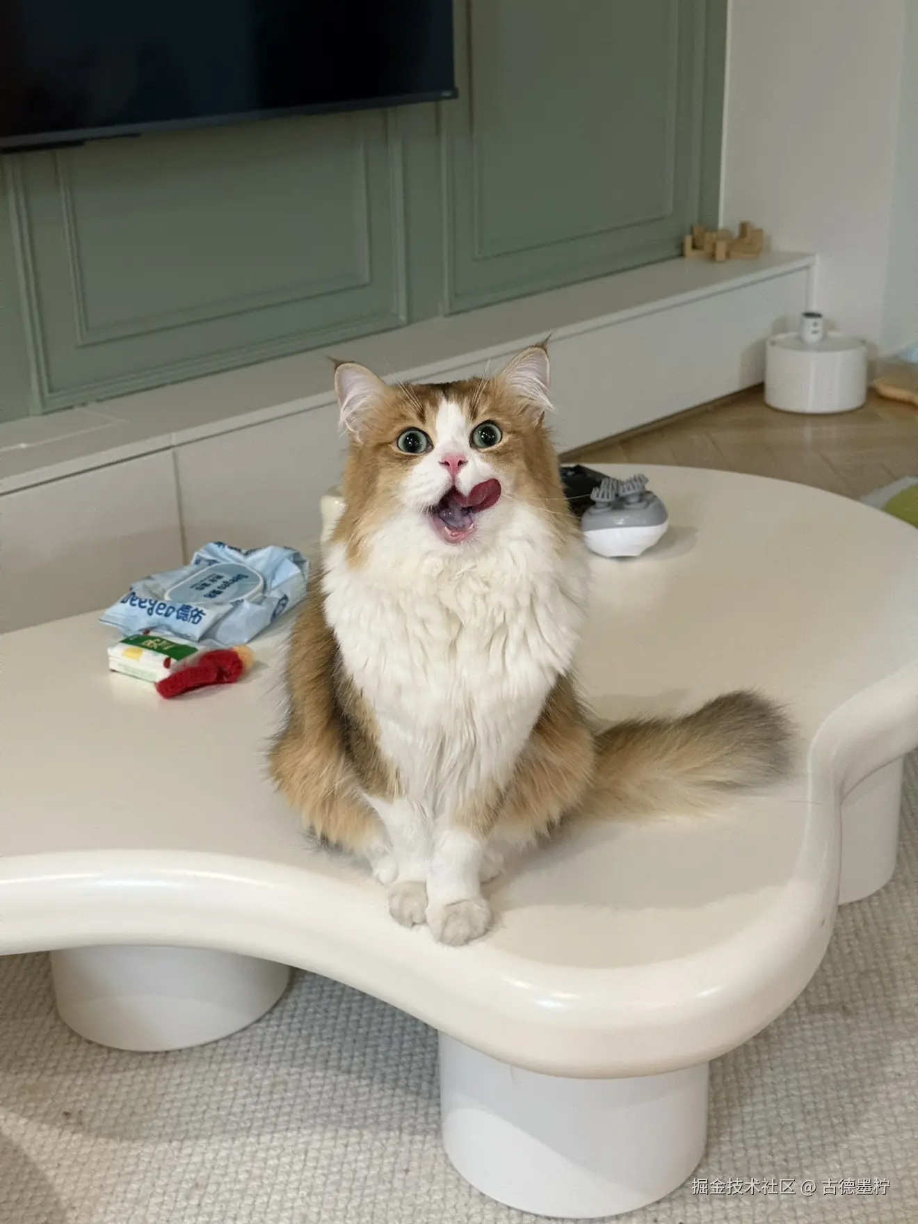 古德墨柠于2026-01-28 16:18发布的图片