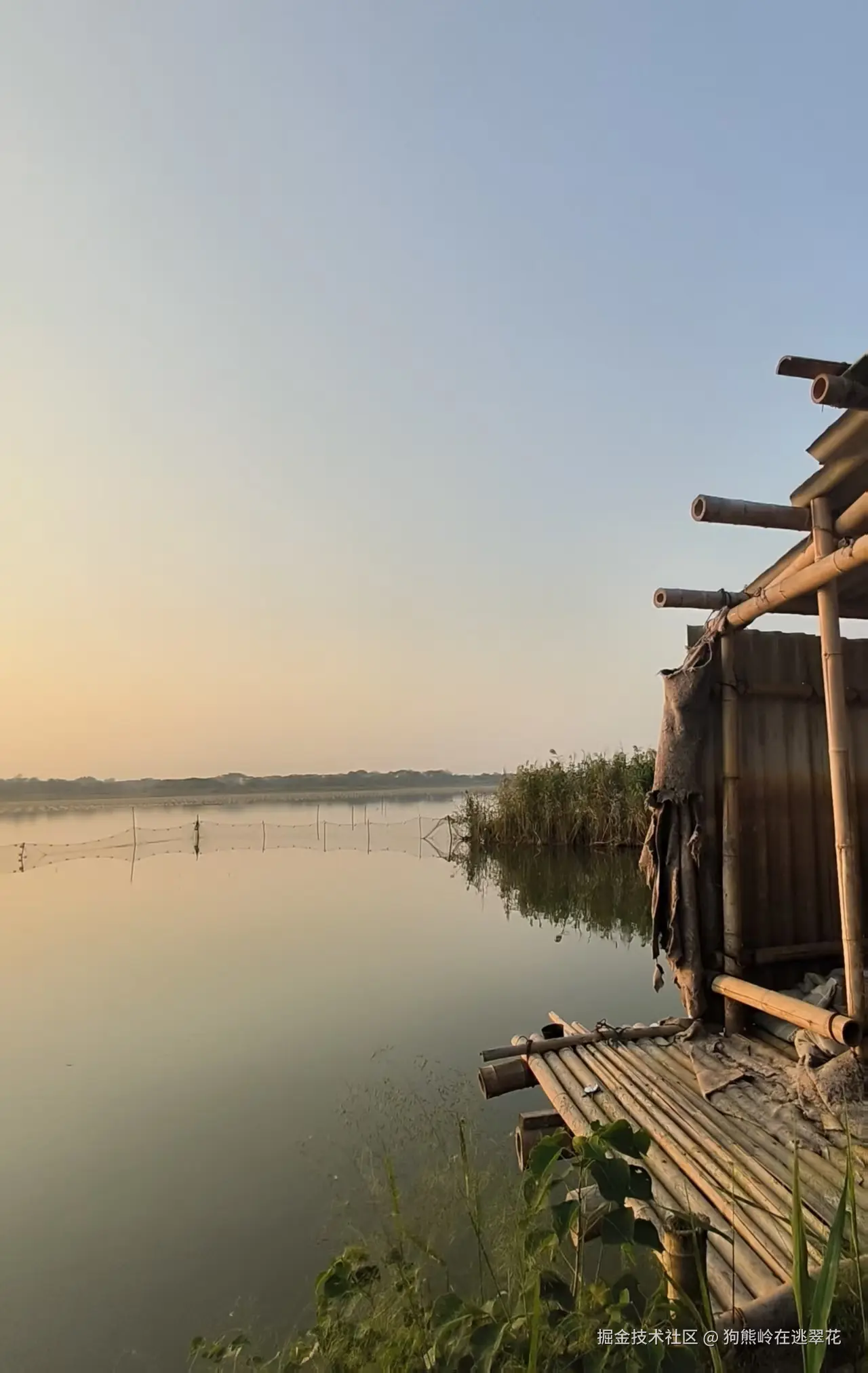 狗熊岭在逃翠花于2025-10-13 13:49发布的图片