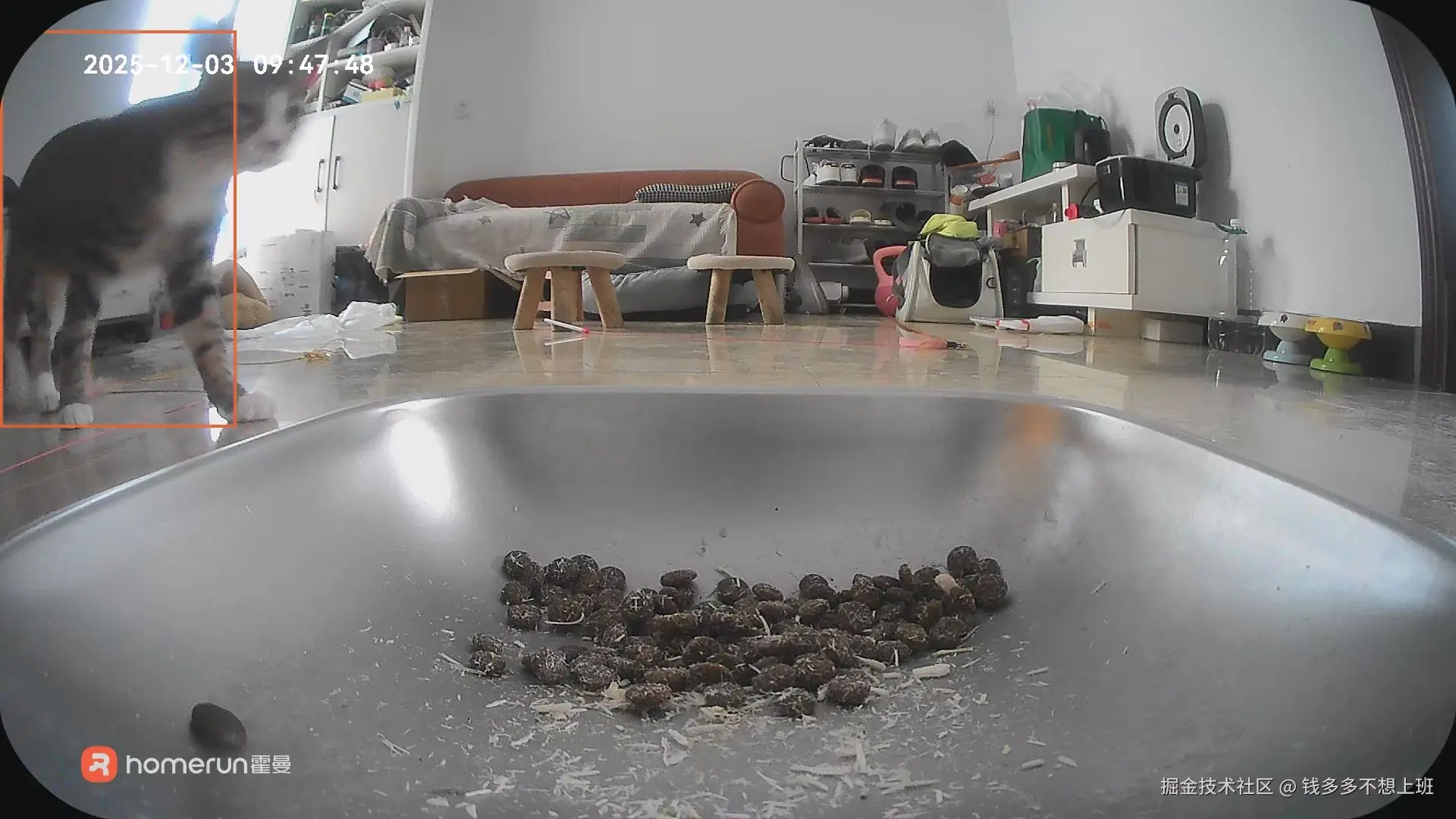 钱多多不想上班于2025-12-03 10:14发布的图片