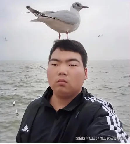 爱上女运营的前端于2026-03-11 10:56发布的图片