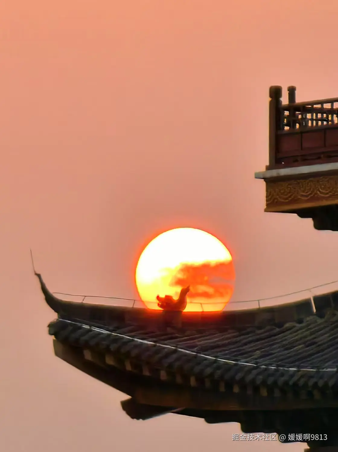 媛媛啊9813于2025-01-24 03:47发布的图片