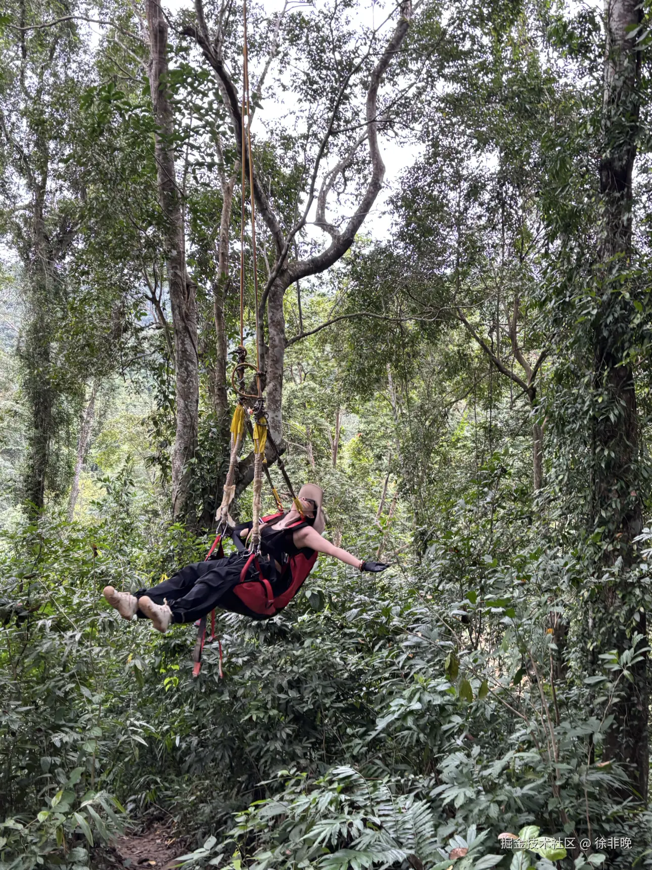 徐非晚于2024-12-03 14:37发布的图片