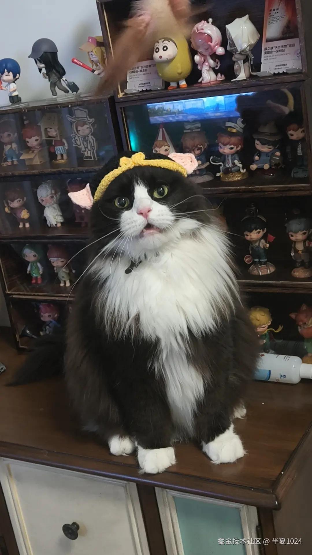 半夏1024于2025-06-25 11:23发布的图片